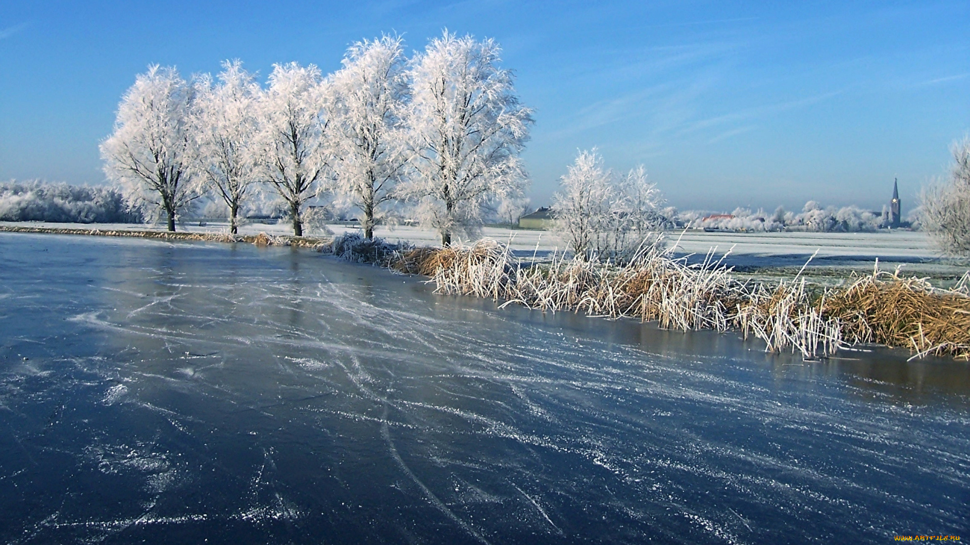 природа, зима, трава, деревья, лед, река