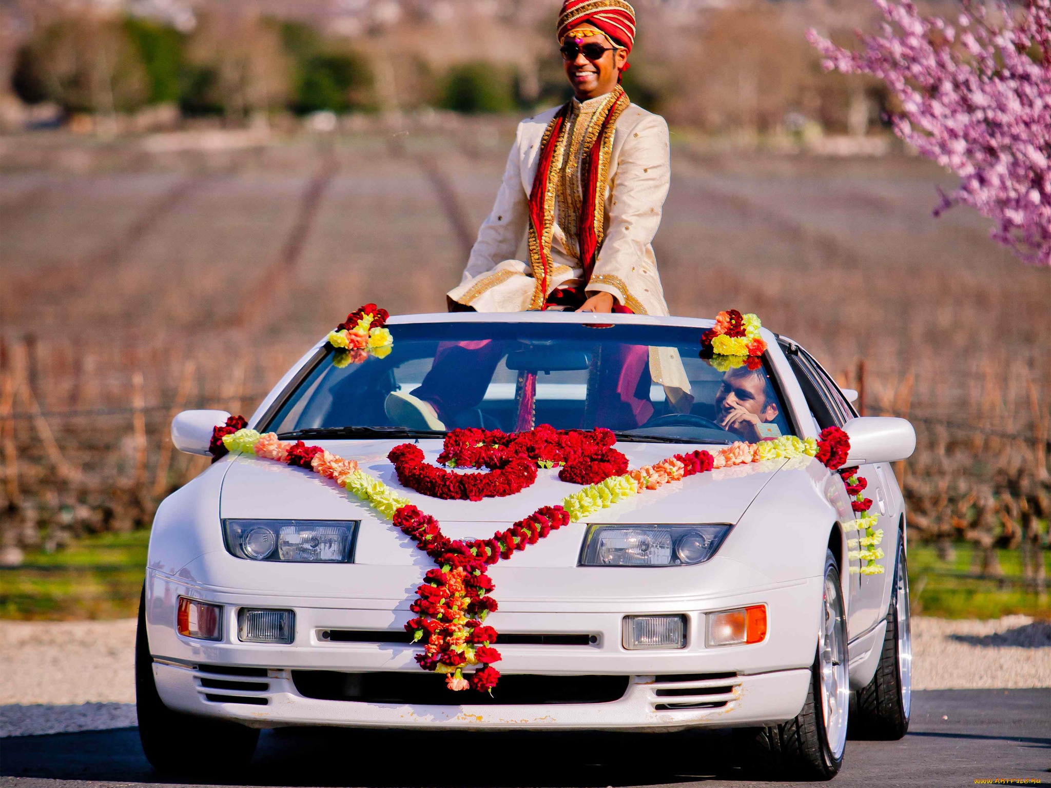 автомобили, nissan, datsun