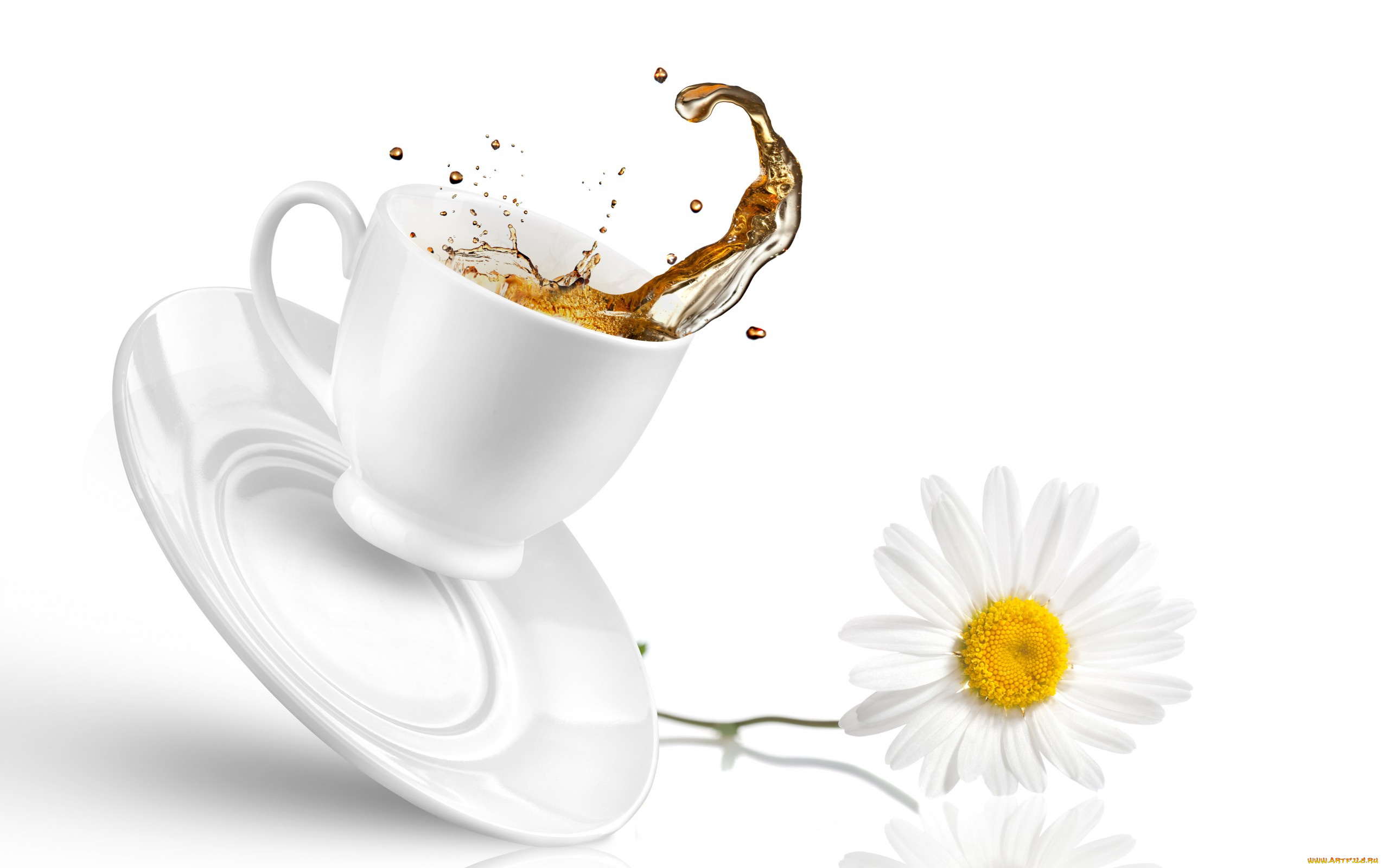 еда, напитки, Чай, чай, чашка, блюдце, ромашка