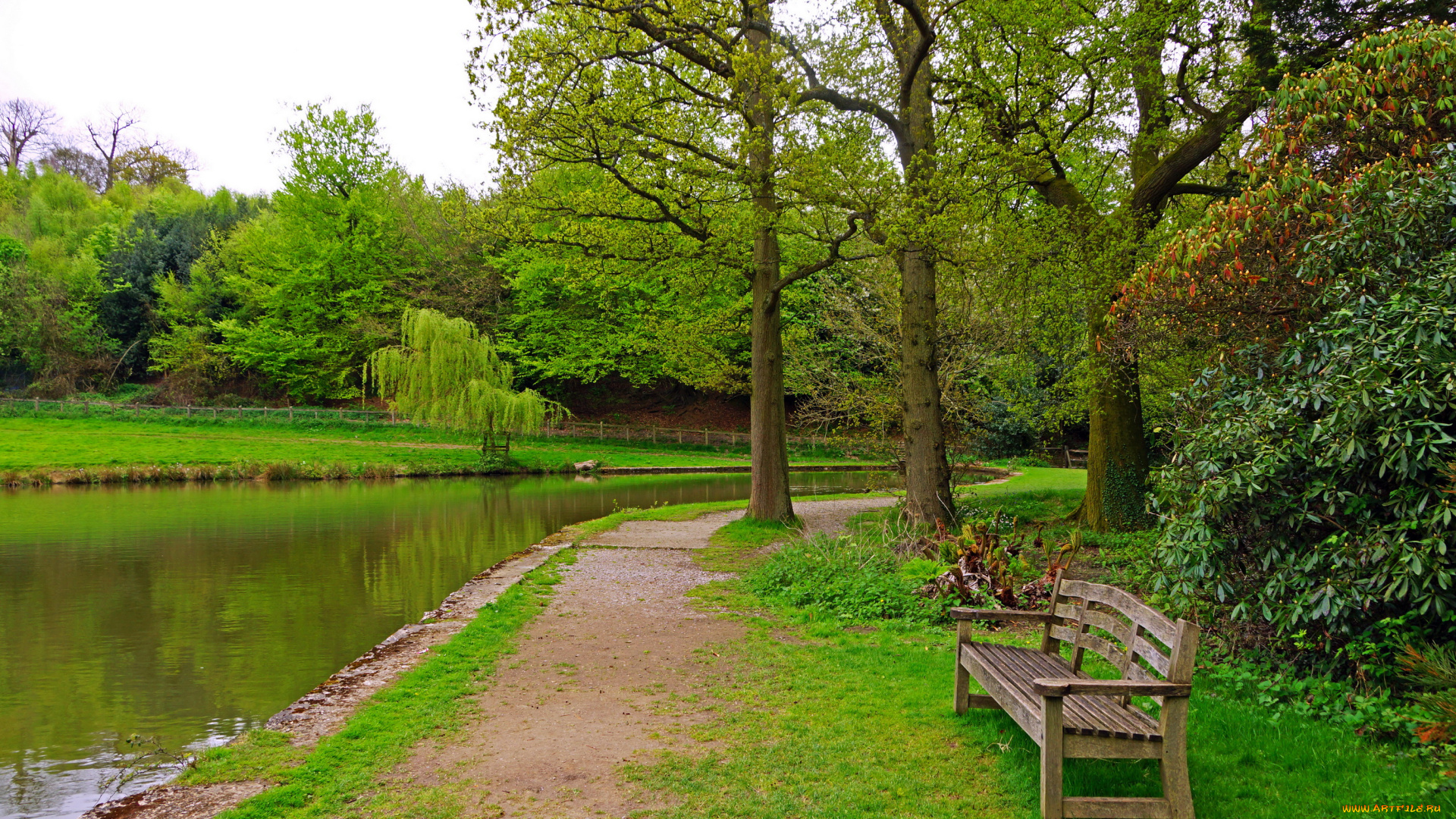 англия, , , charwell, garden, природа, парк, англия, деревья, река, скамейка, трава
