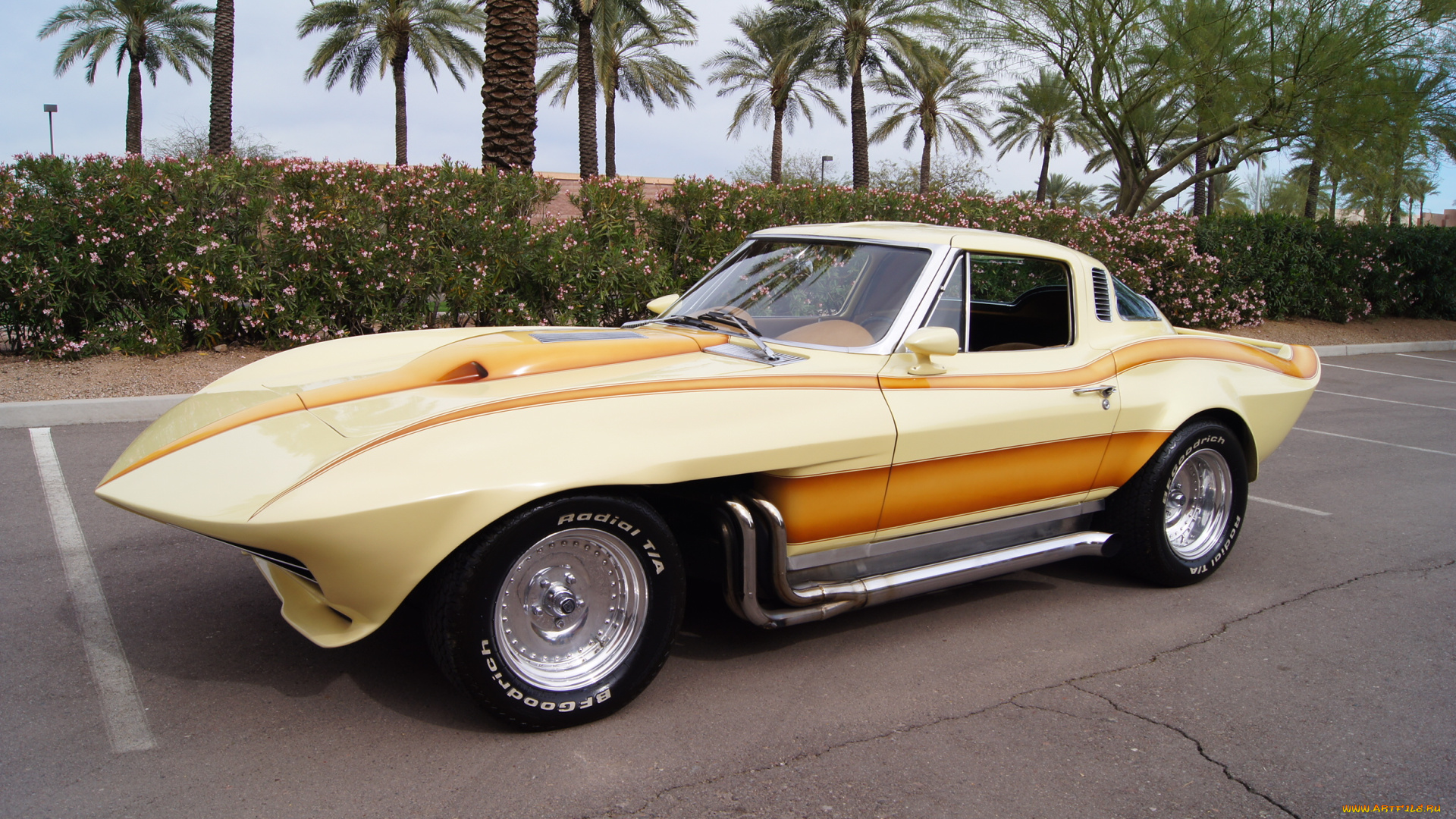 автомобили, corvette, vette