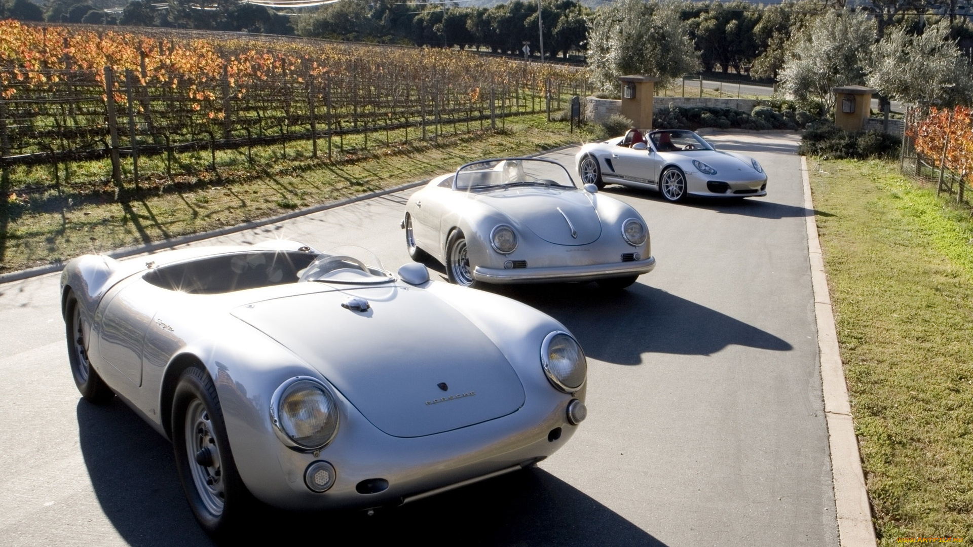 автомобили, porsche, collection