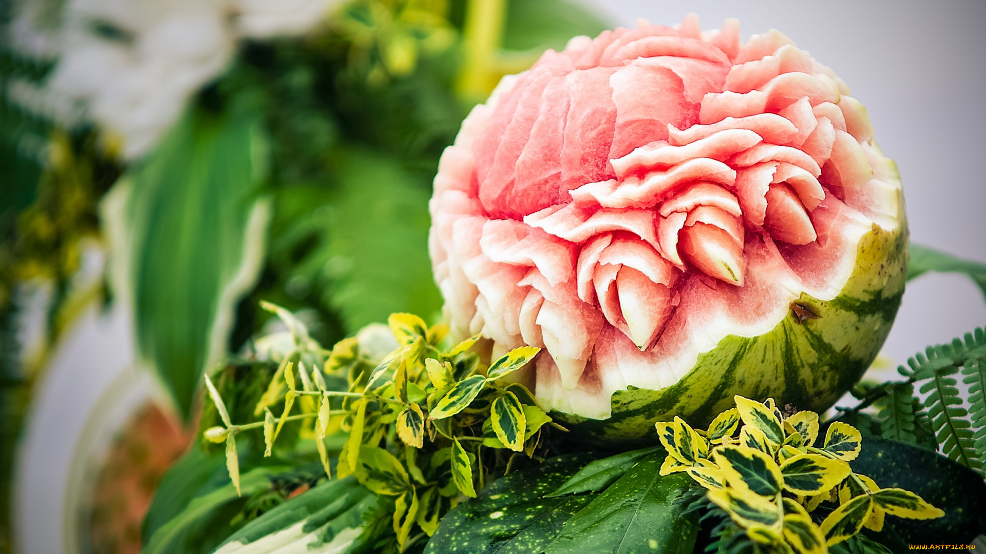 еда, арбуз, листья