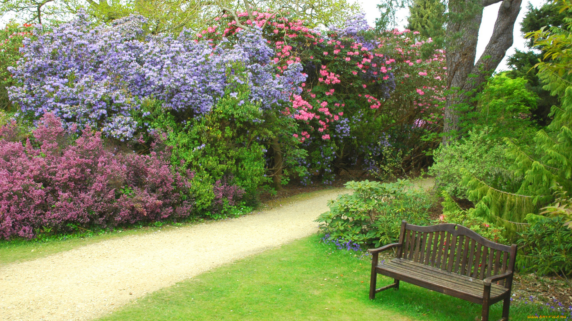 exbury, gardens, англия, природа, парк, exbury, gardens, англия, сад, кусты, скамейка, дорожка