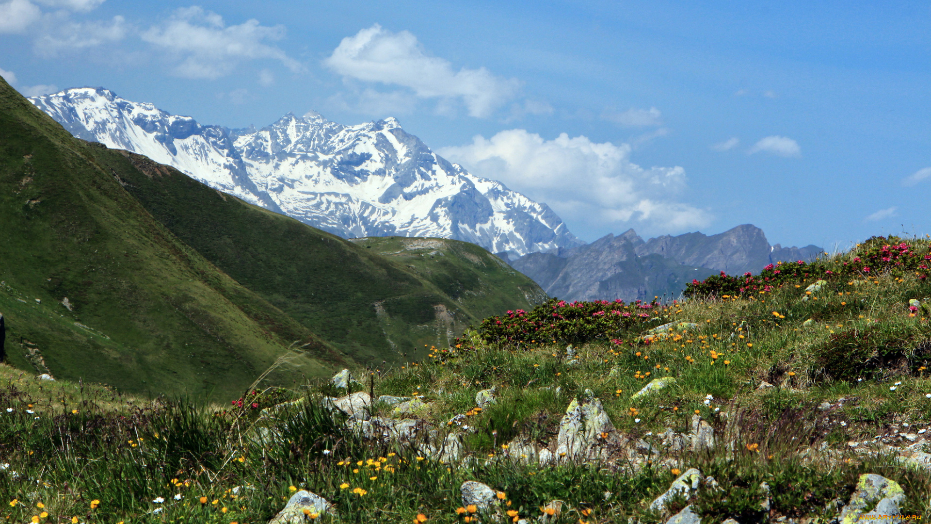 penser, joch, , italy, природа, горы, италия, горный, перевал, пенсер-йох, italy, цветы, penser, joch