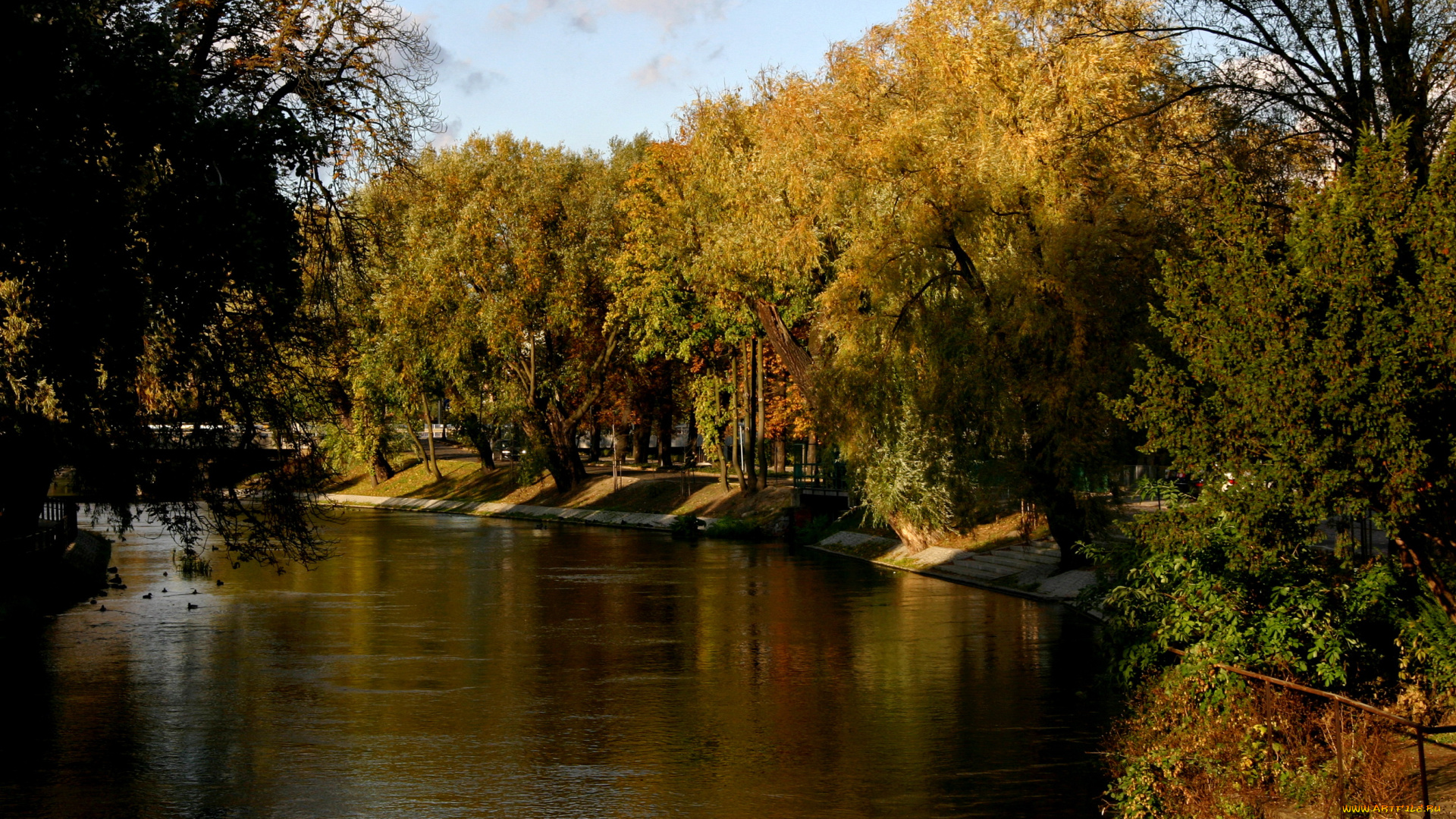 польша, , , быдгощ, природа, парк, кусты, деревья, пруд, польша, быдгощ