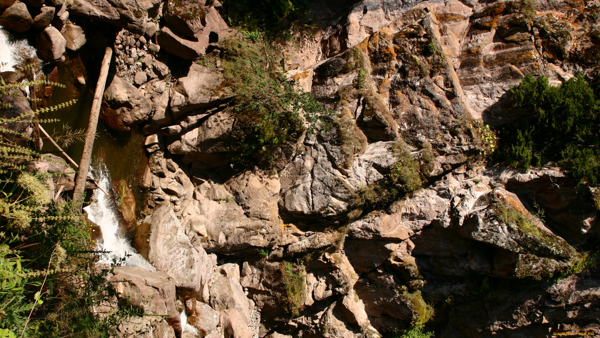 природа, горы, деревья, водопад