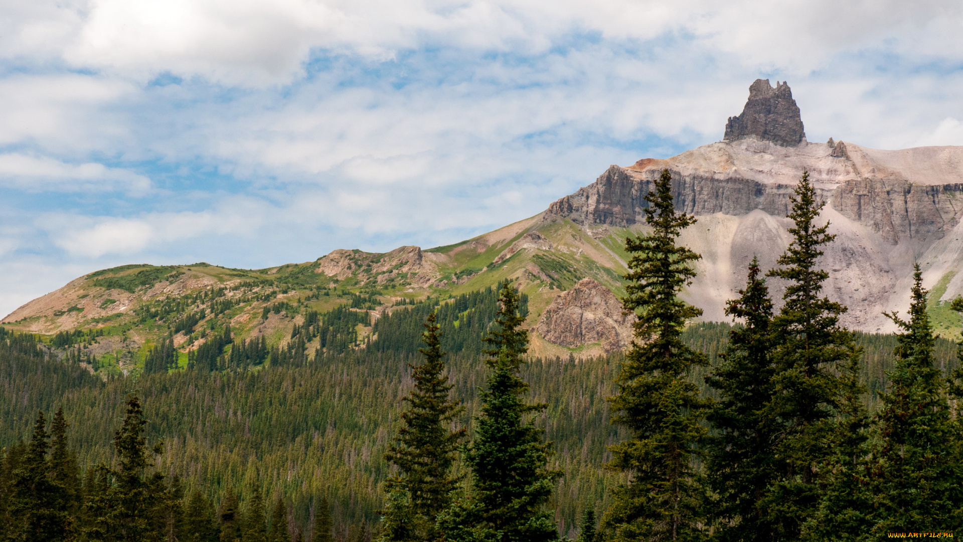 природа, горы, колорадо, сша, лес, ели