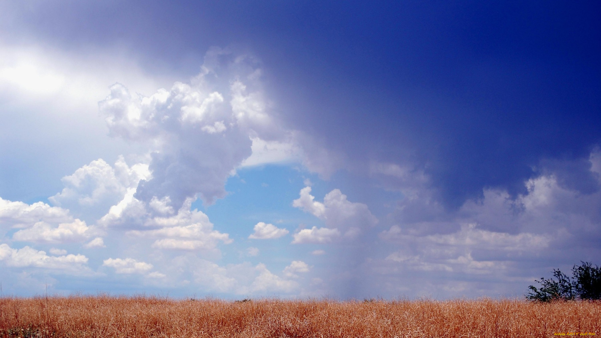 природа, облака, небо, синива, пушистые