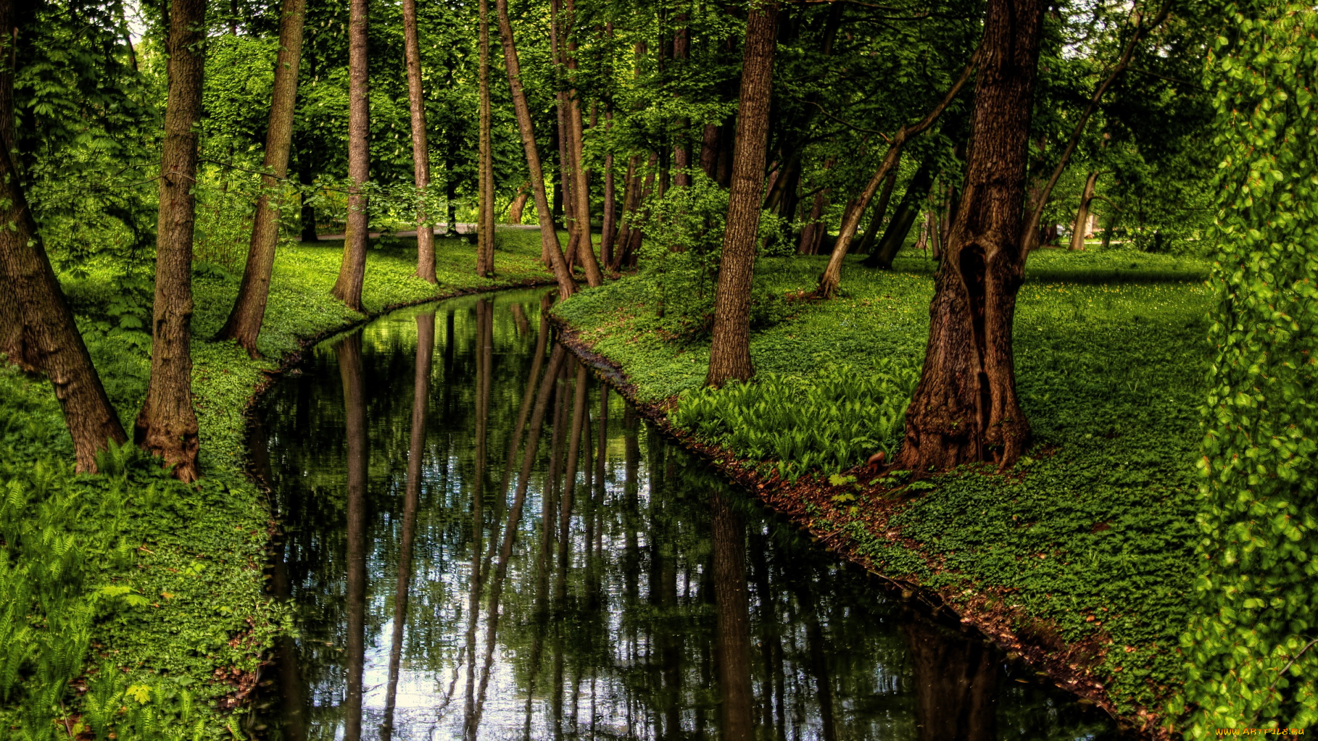 природа, парк, варшава, польша, пруд, трава, деревья