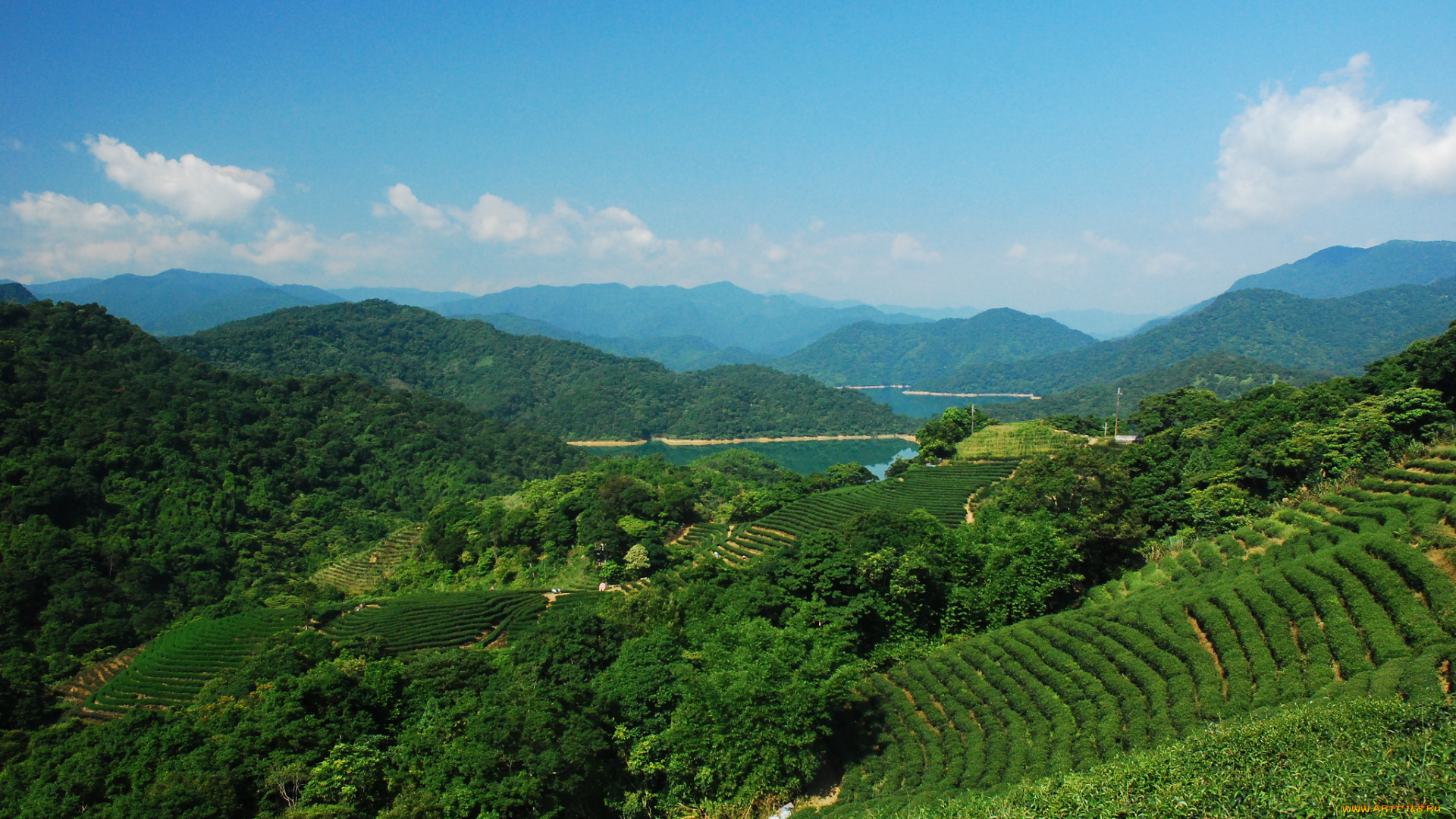 природа, поля, панорама, горы