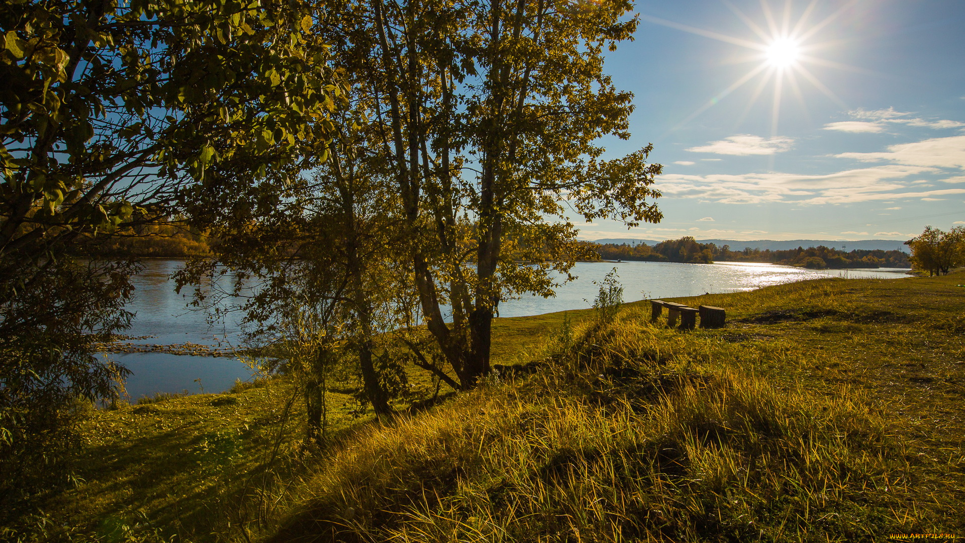 природа, реки, озера, река3, иркут, россия, трава, скамеки, деревья, солнце, пейзаж