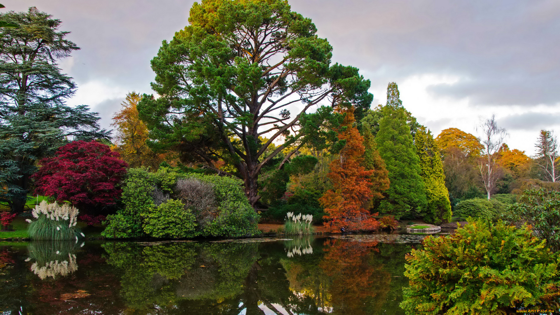 sheffield, park, garden, england, природа, парк, англия, пруд, деревья, кусты