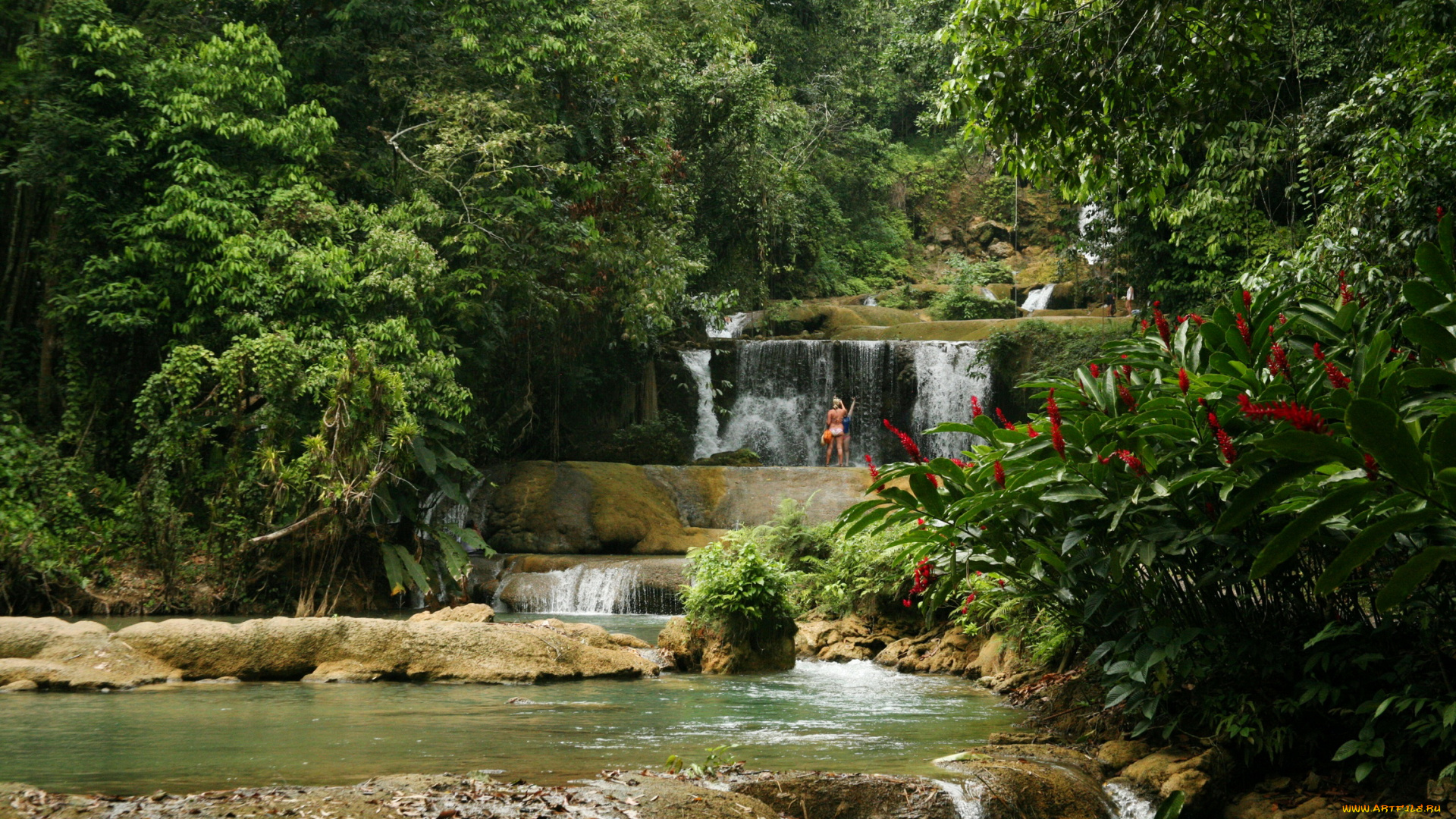 ys, falls, , , , cornwall, , , jamaica, природа, водопады, ямайка, водопад, тропики, лес