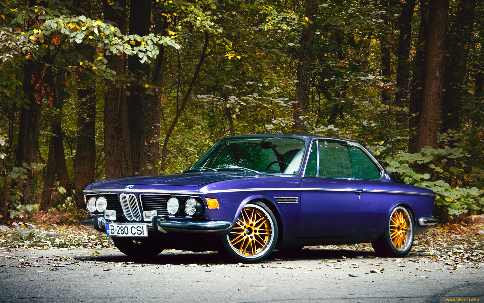 автомобили, bmw, blue, rims, gold