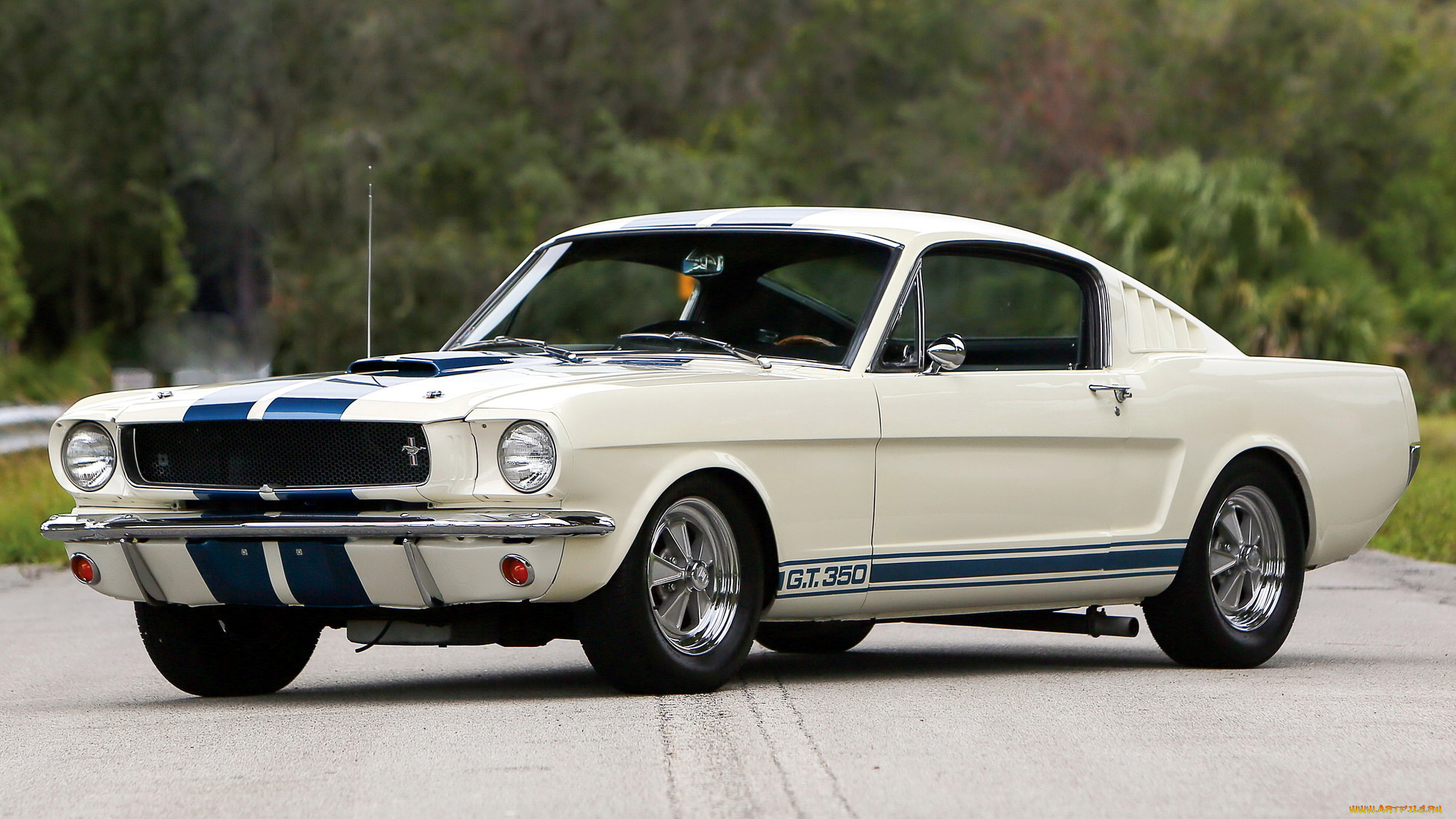 ford, mustang, автомобили, mustang, сша, культовый, автомобиль, ford, motor, company