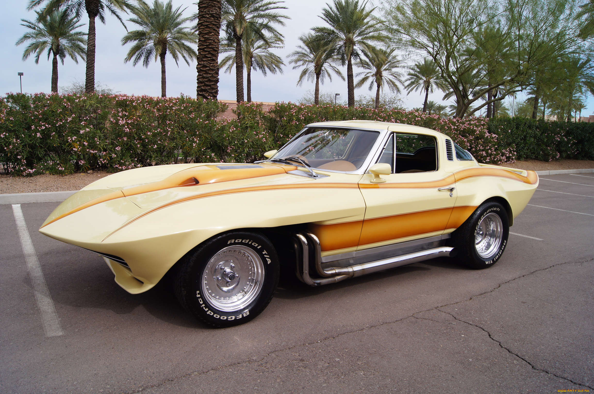 автомобили, corvette, vette