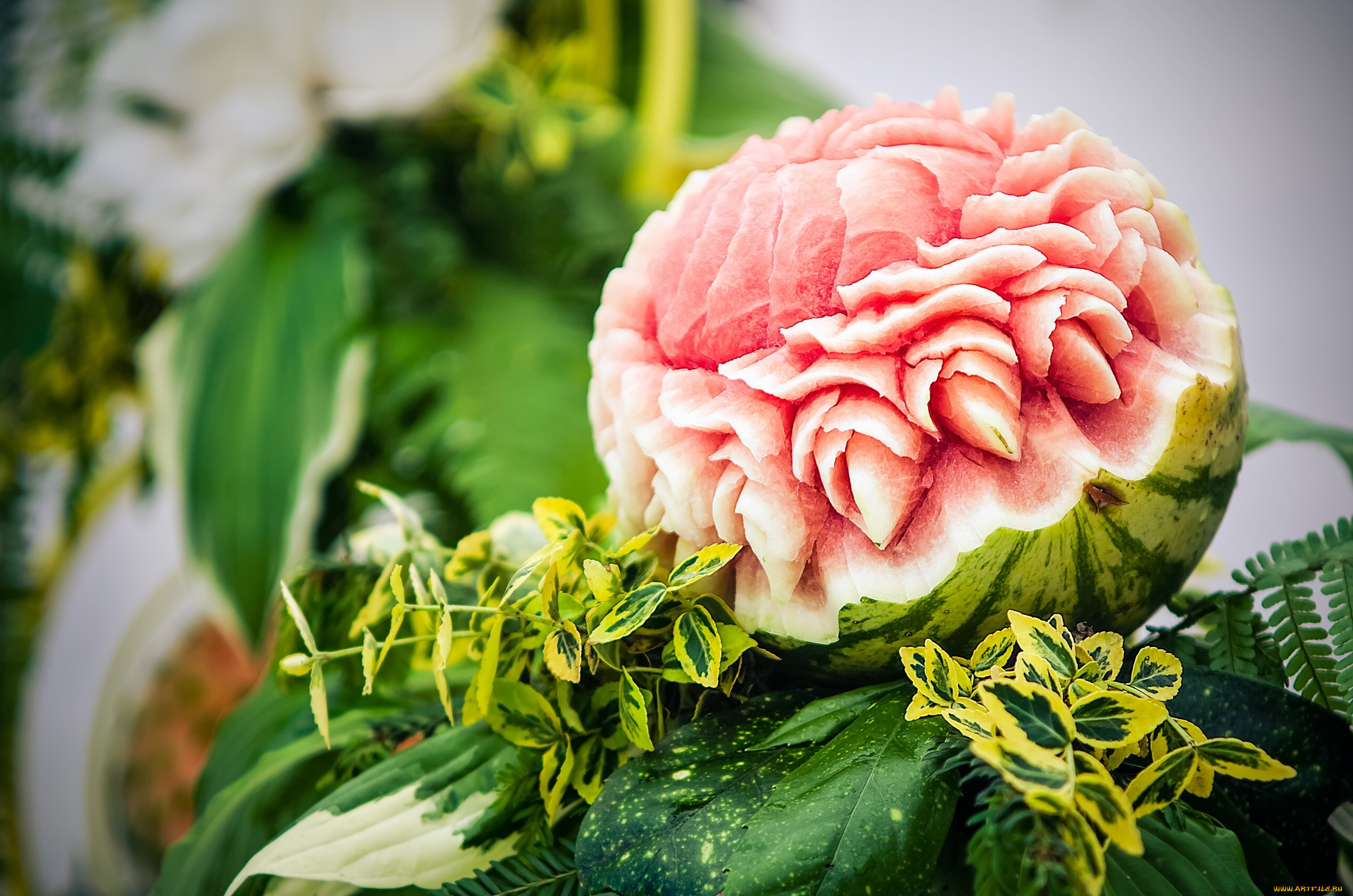 еда, арбуз, листья