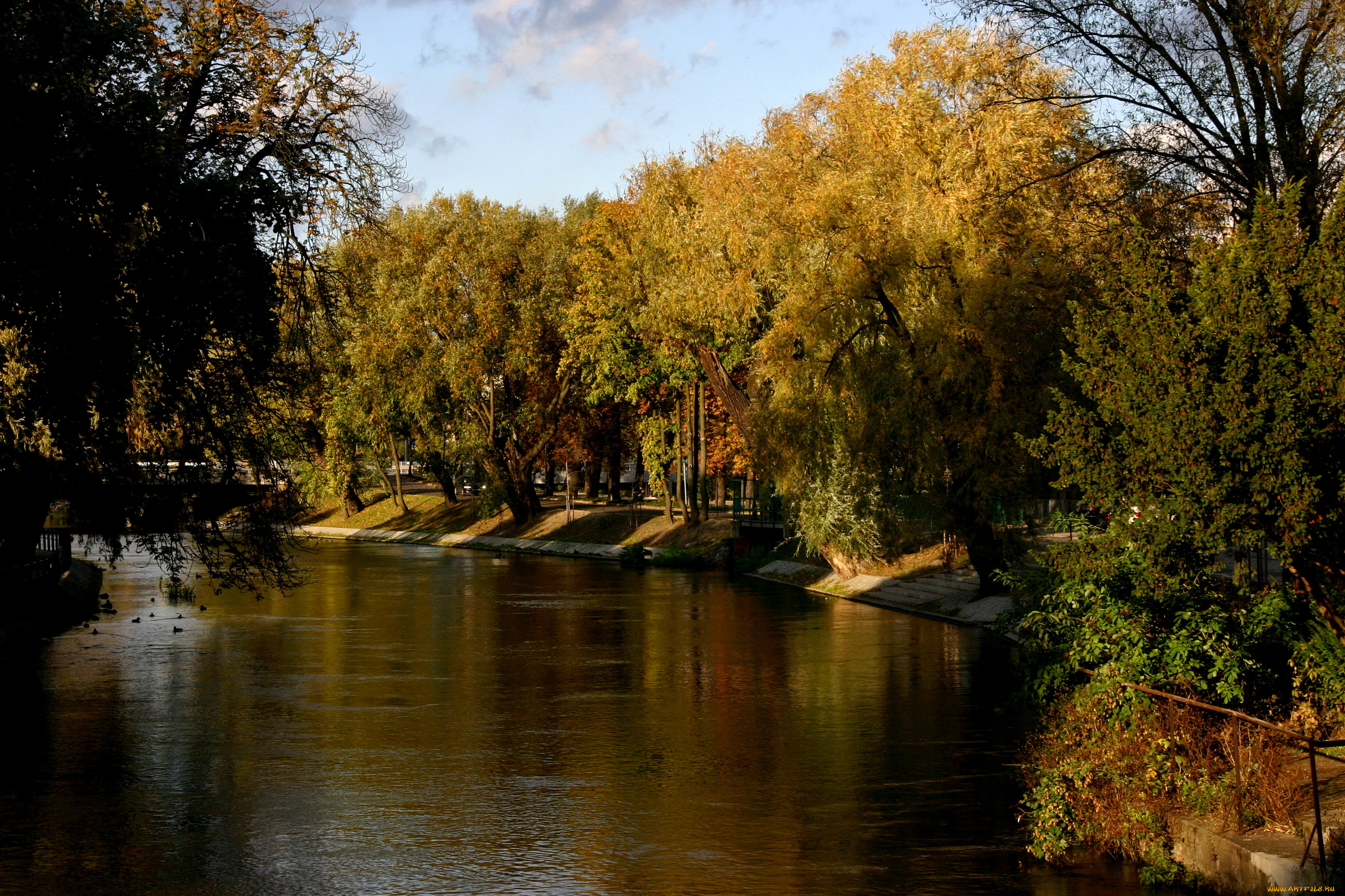 польша, , , быдгощ, природа, парк, кусты, деревья, пруд, польша, быдгощ