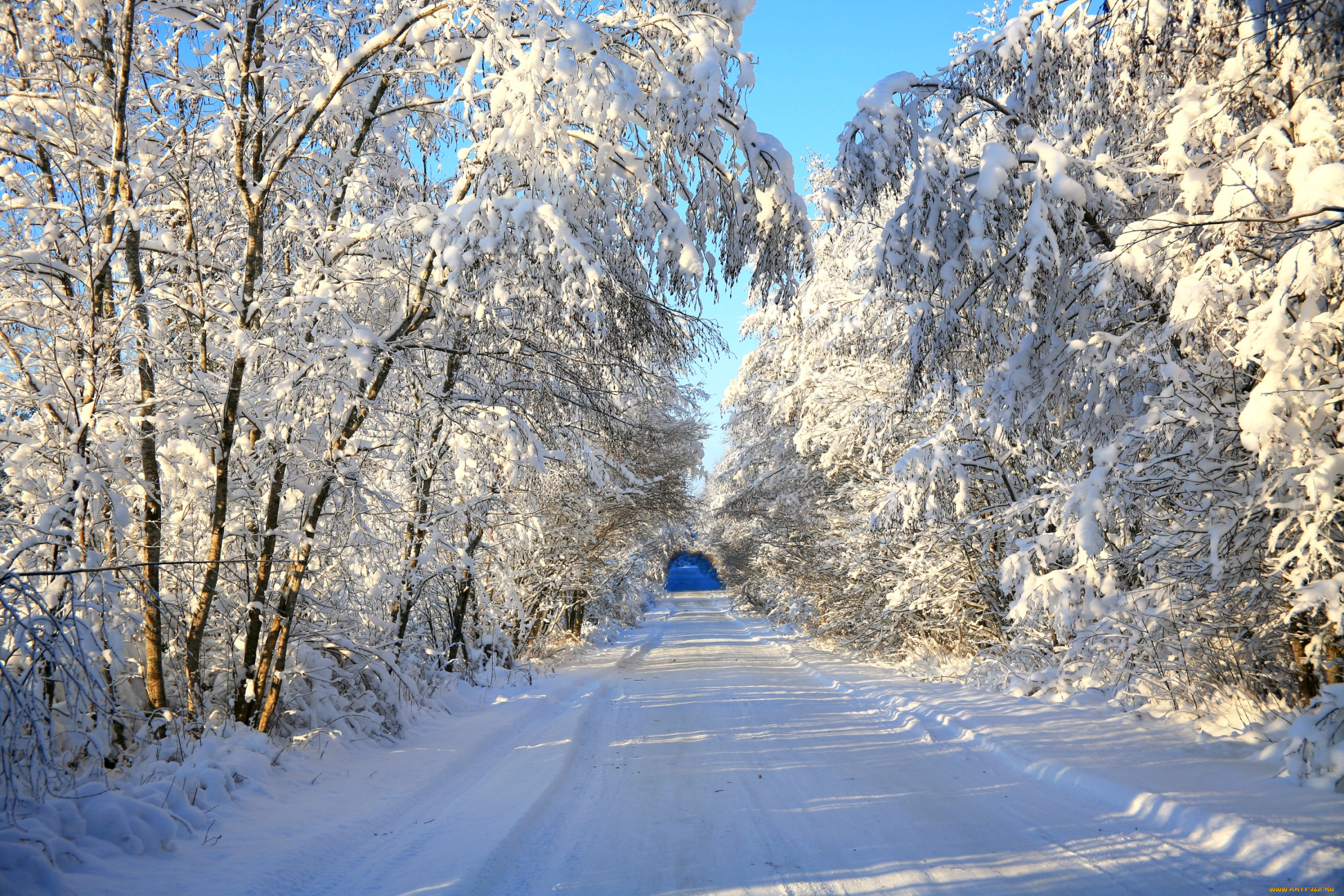 природа, зима, снег