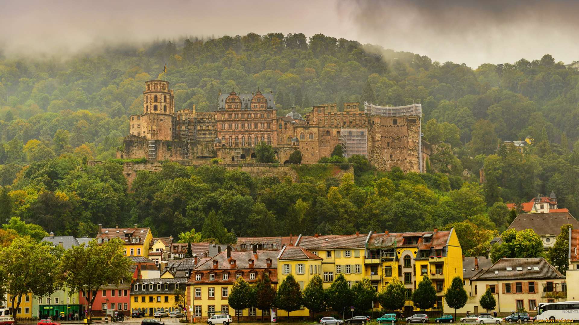 хайдельберг, германия, города, -, панорамы, набережная, замок, дома, хайдельберг