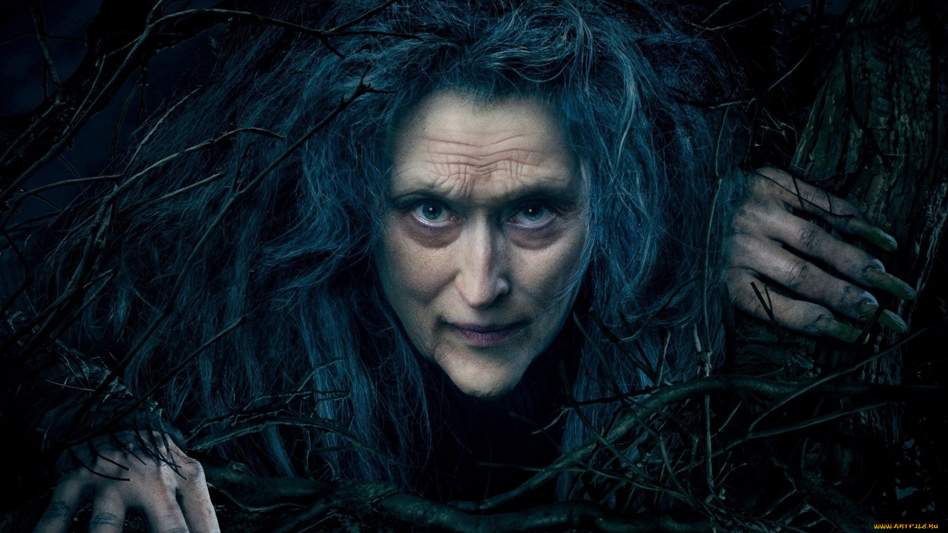 кино, фильмы, into, the, woods, meryl, streep, into, the, woods