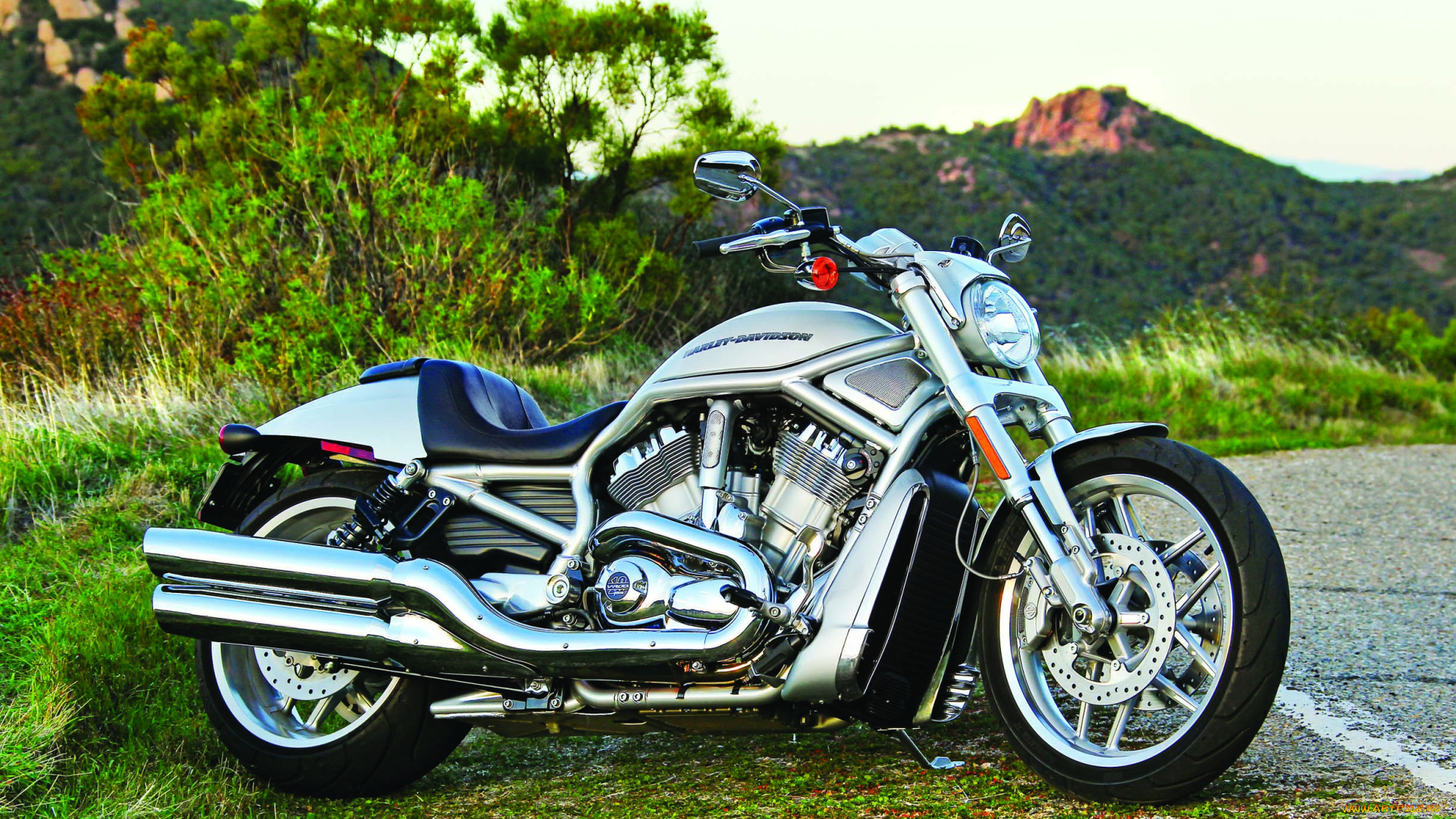 мотоциклы, harley-davidson