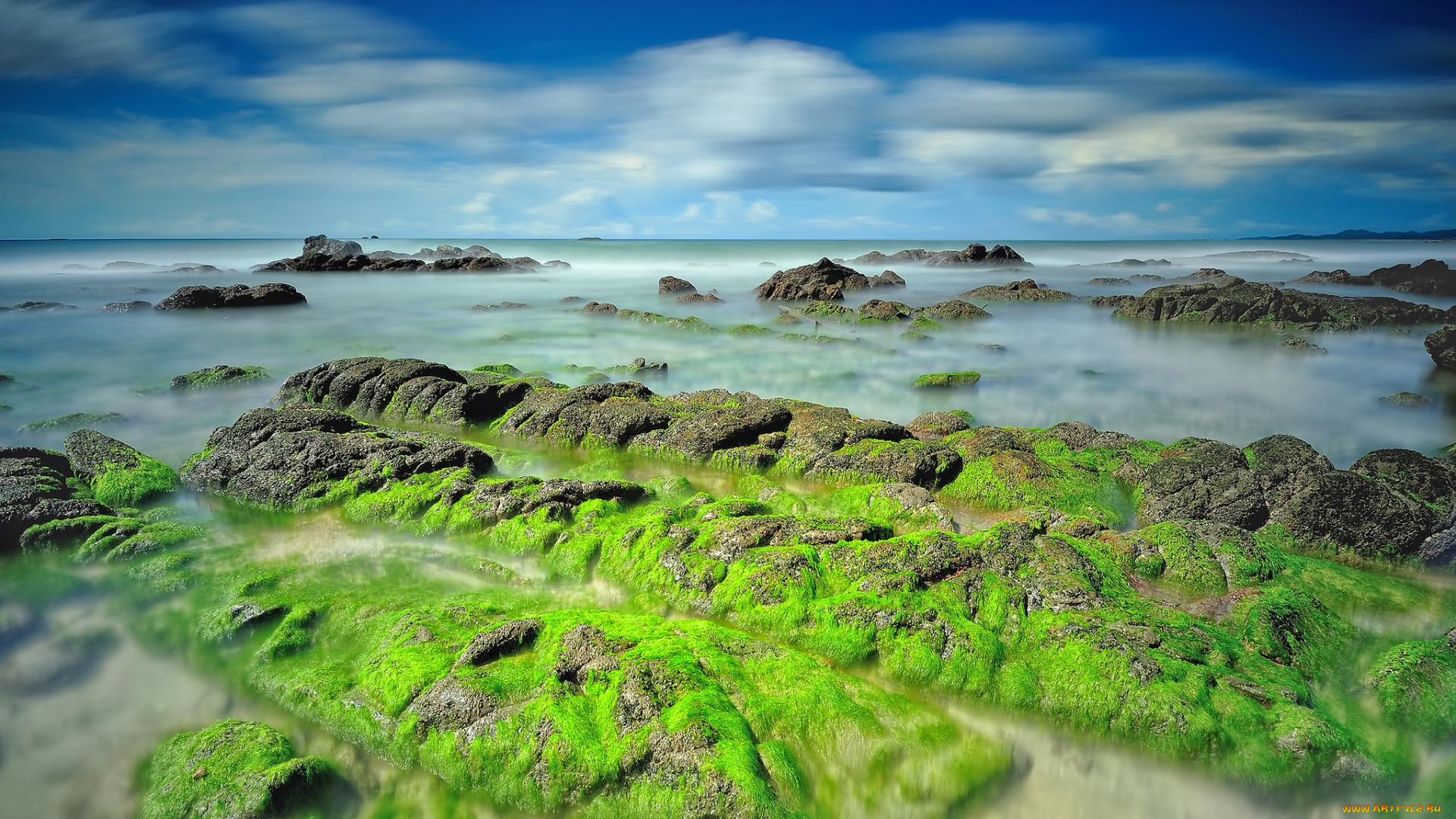 природа, побережье, океан, камни, тина