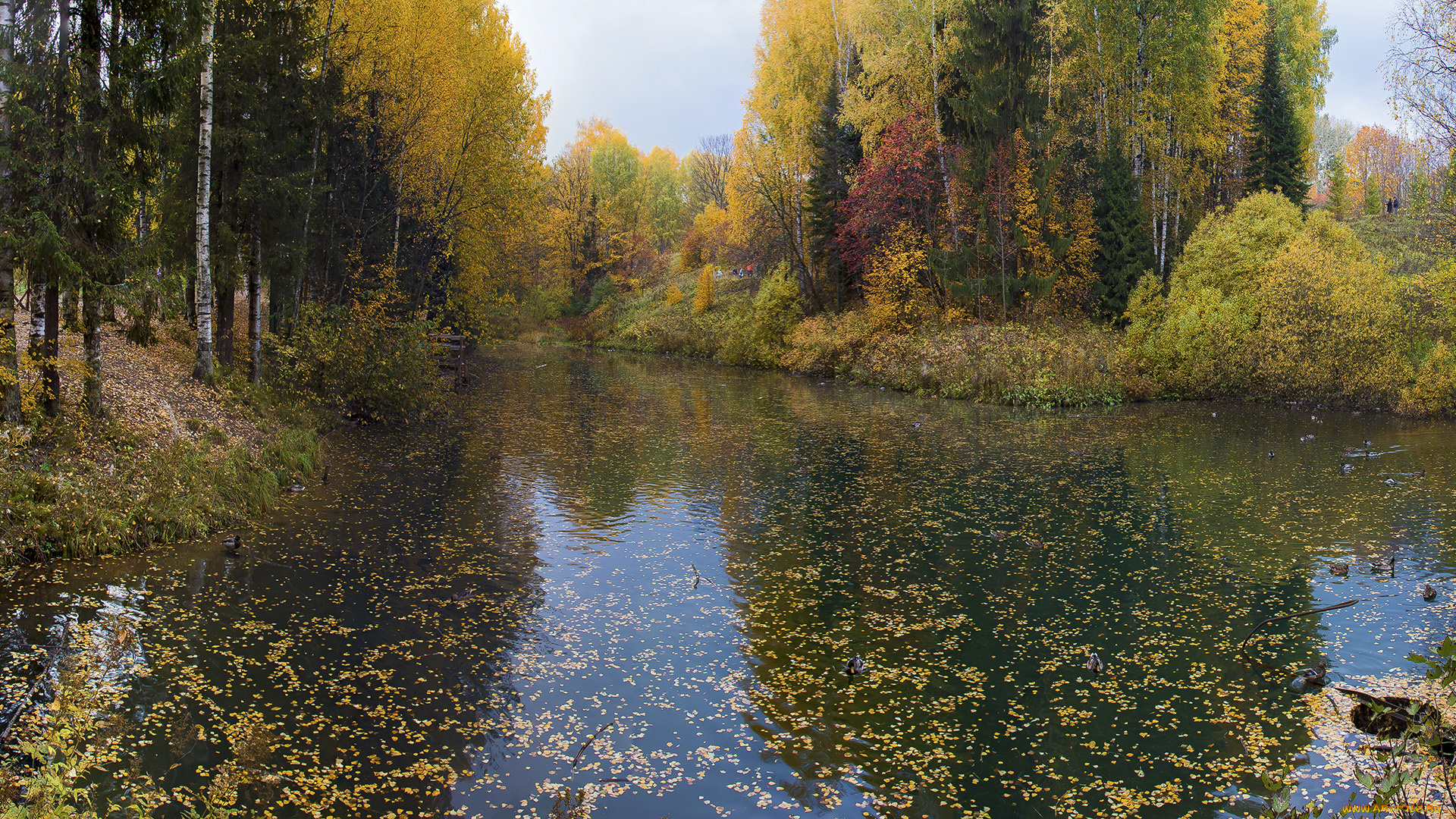 природа, реки, озера, осень, лес, река, листва