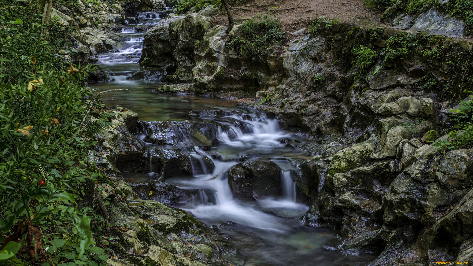 природа, реки, озера, овраг, ручей