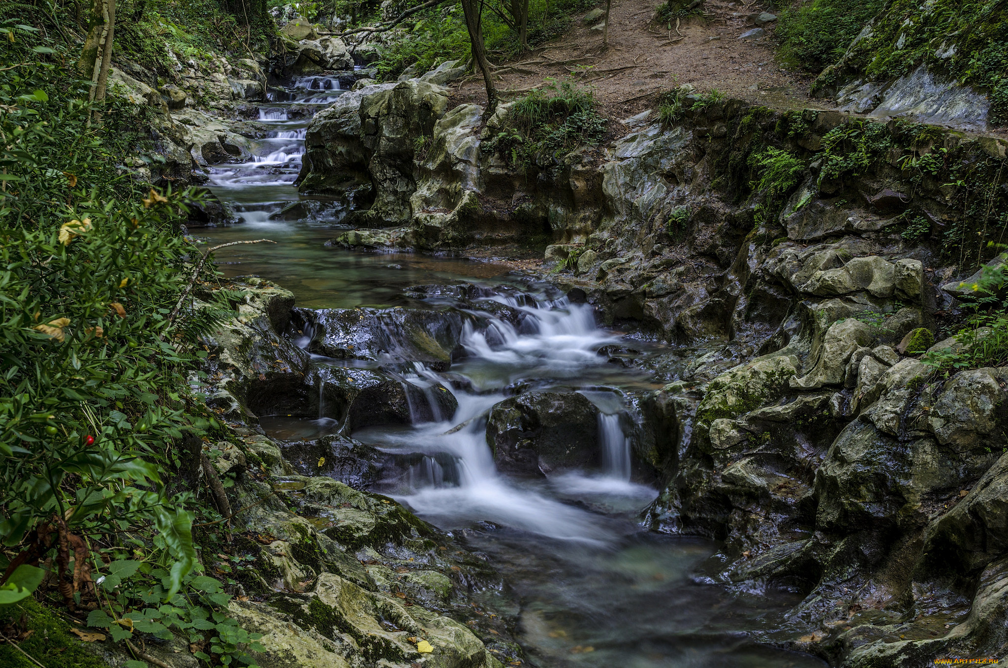 природа, реки, озера, овраг, ручей