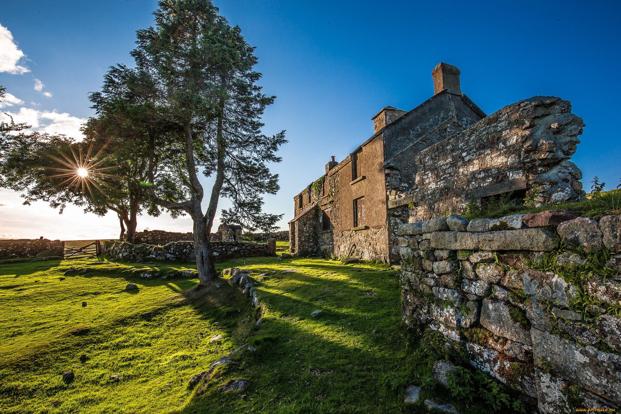 города, -, пейзажи, здание, деревья, солнце, стена