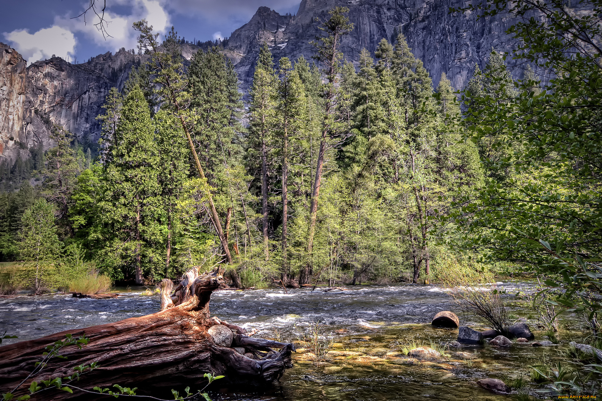 природа, реки, озера, горы, лес, река