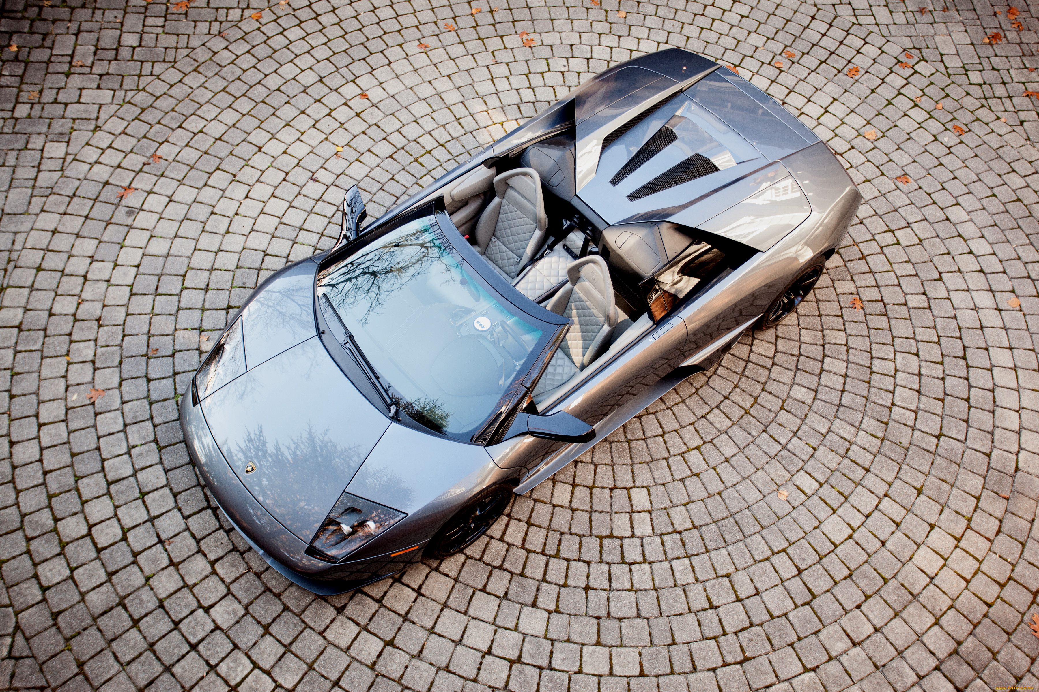 автомобили, lamborghini