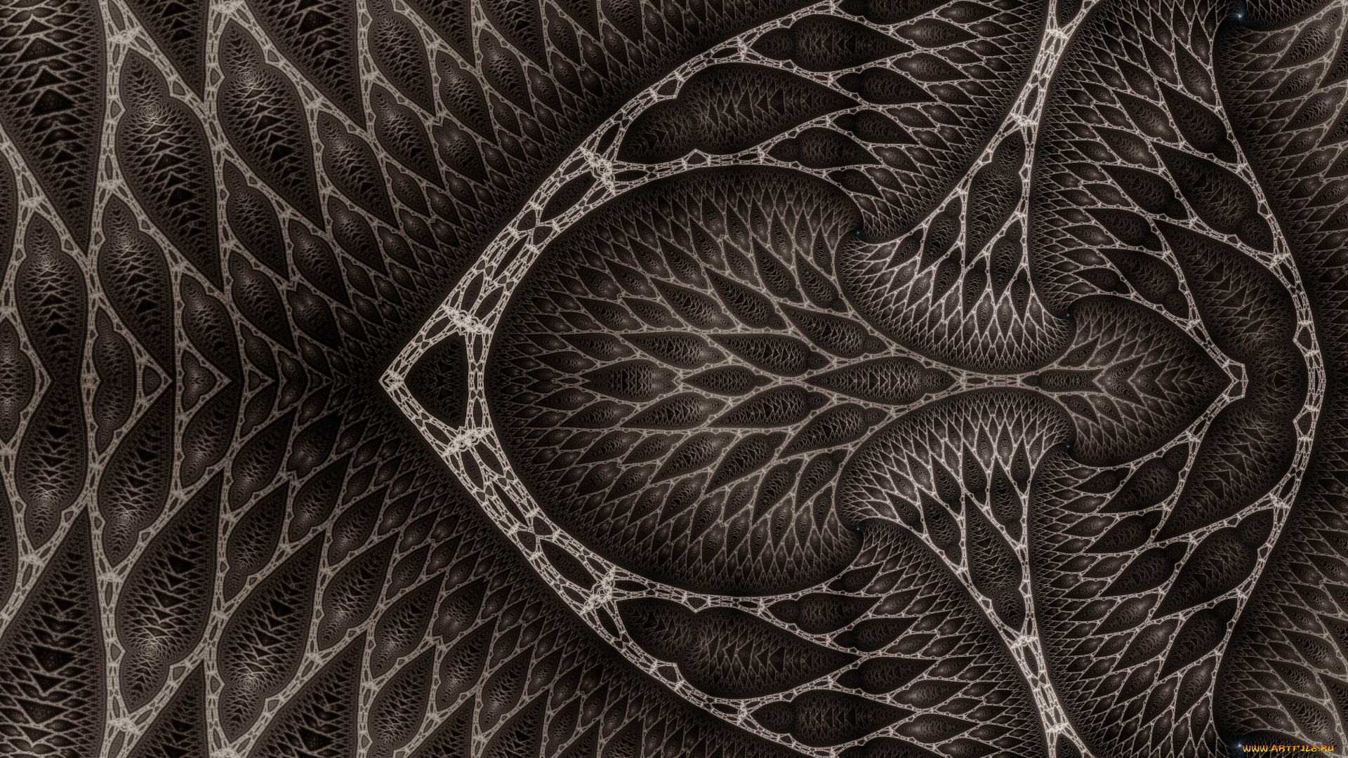 3д, графика, фракталы, , fractal, узор, фон, цвета