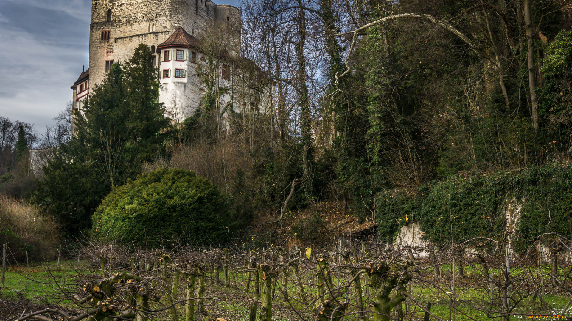 angenstein, castle, города, замки, швейцарии, замок