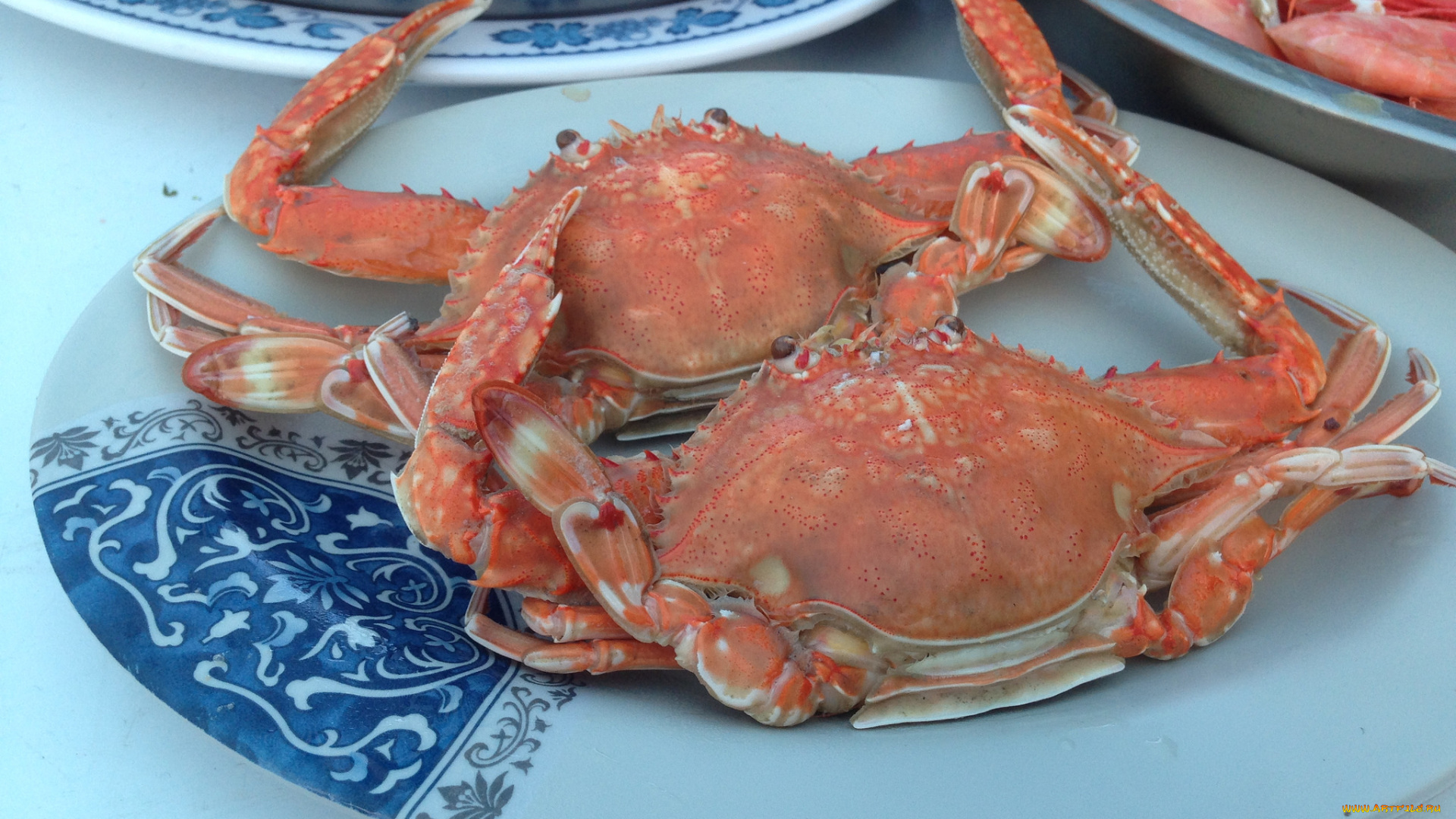 еда, рыба, , морепродукты, , суши, , роллы, крабы