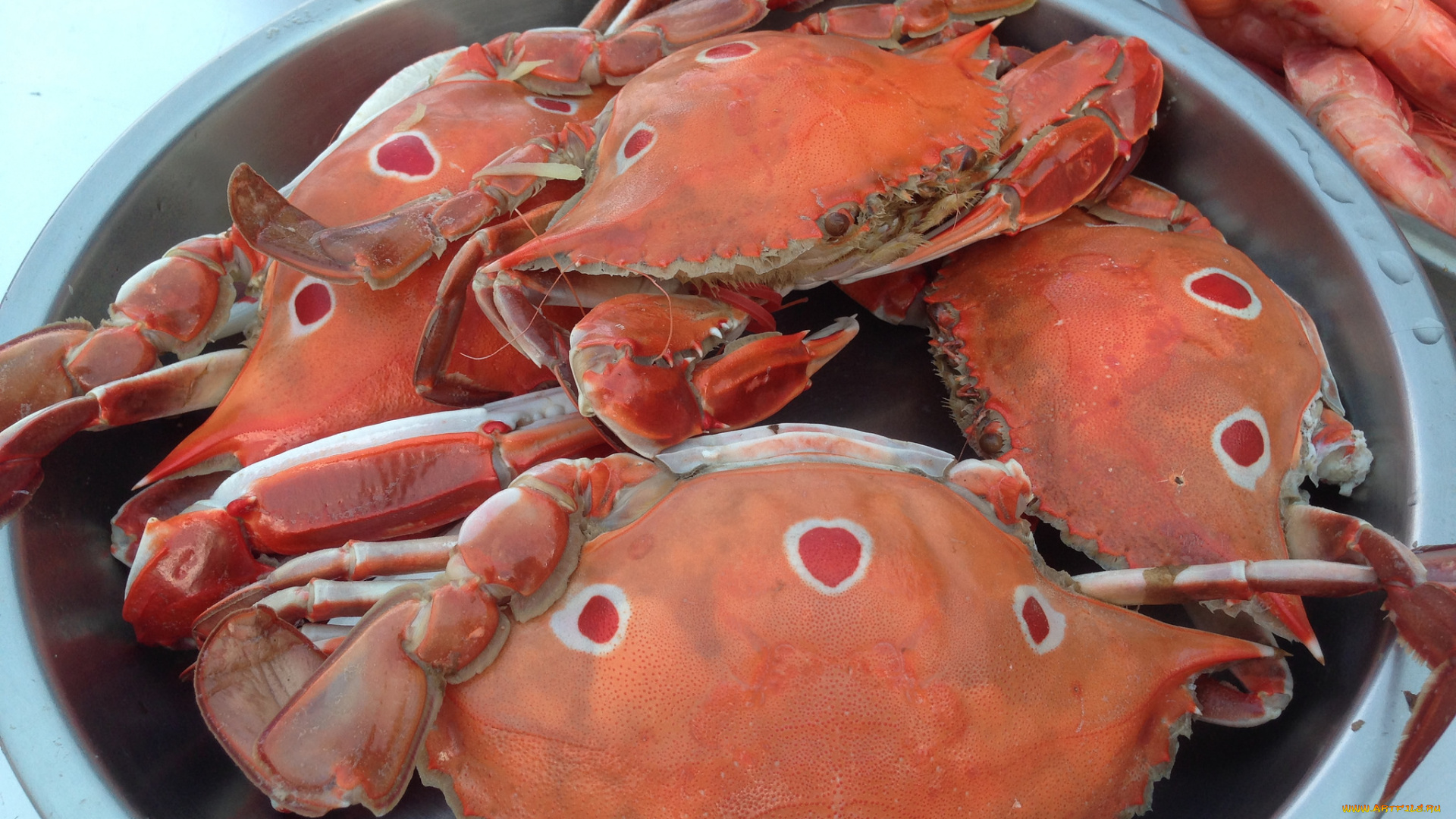 еда, рыба, , морепродукты, , суши, , роллы, крабы