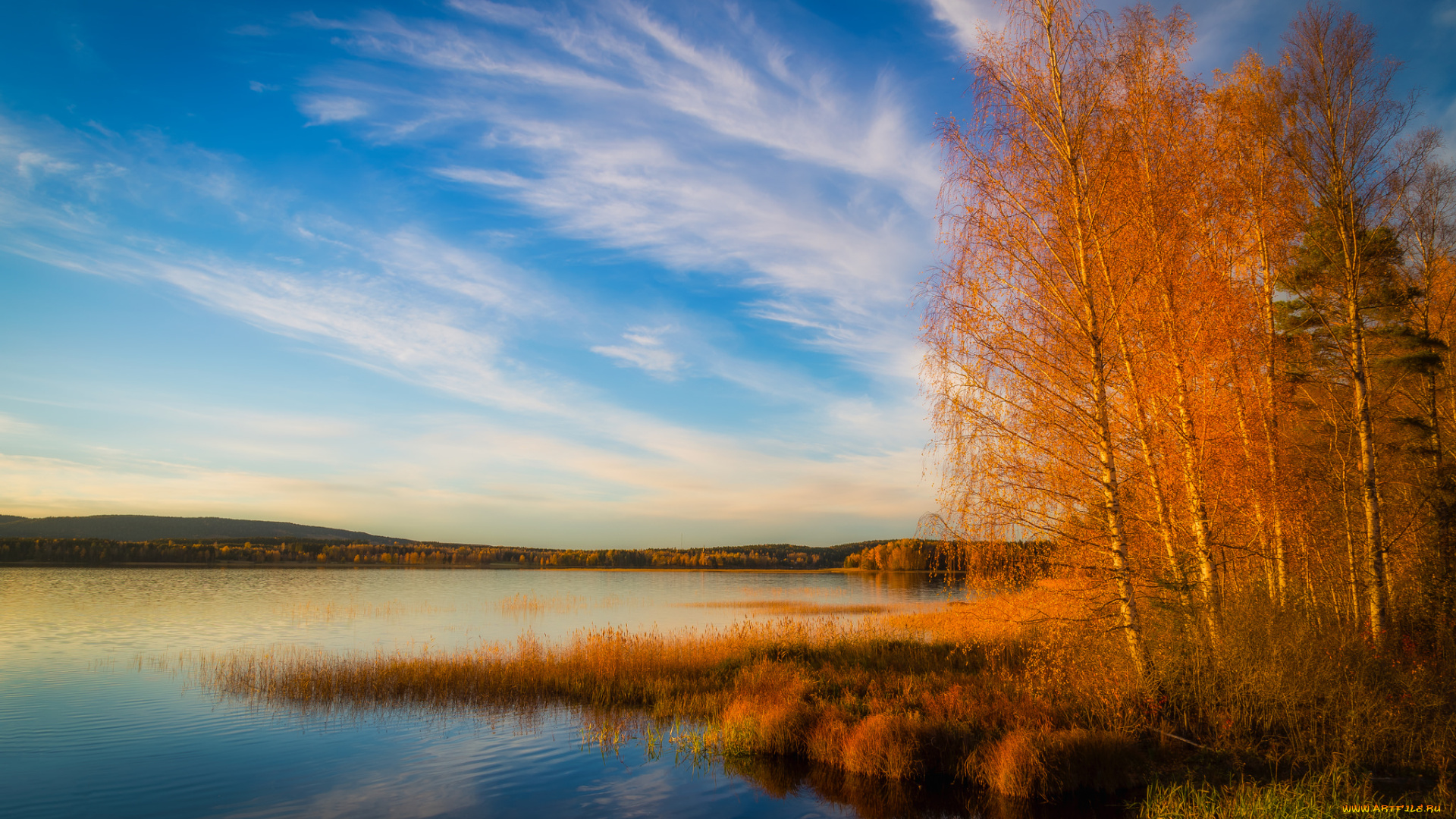 природа, реки, озера, лес, река