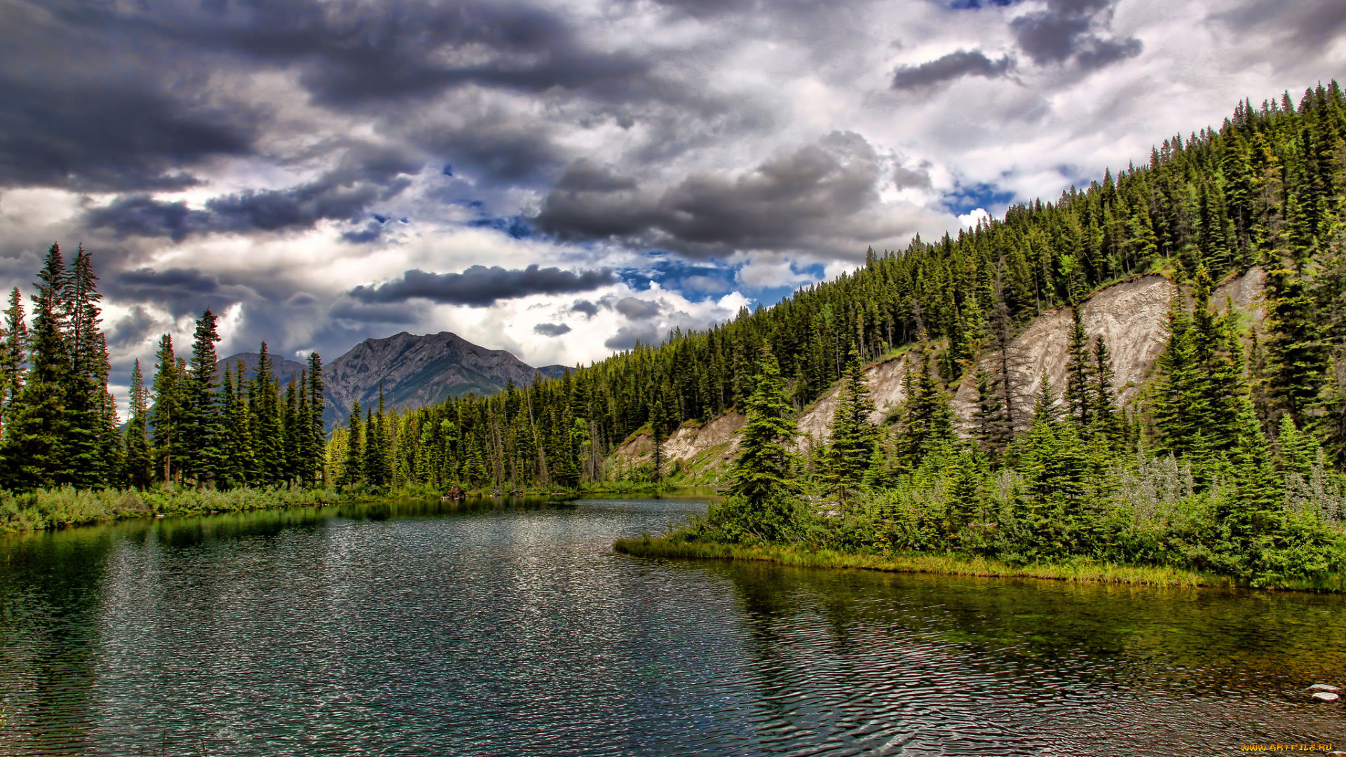 природа, реки, озера, река, лес