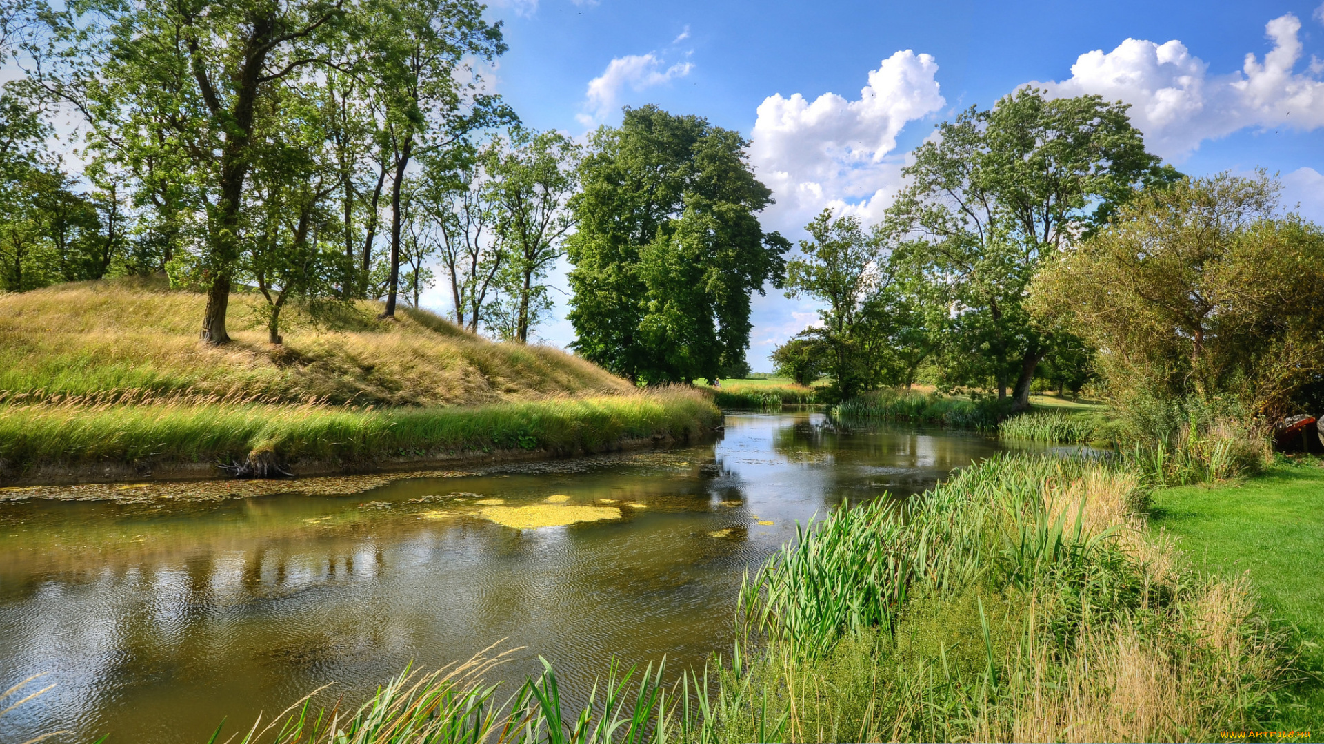 природа, реки, озера, река, лес