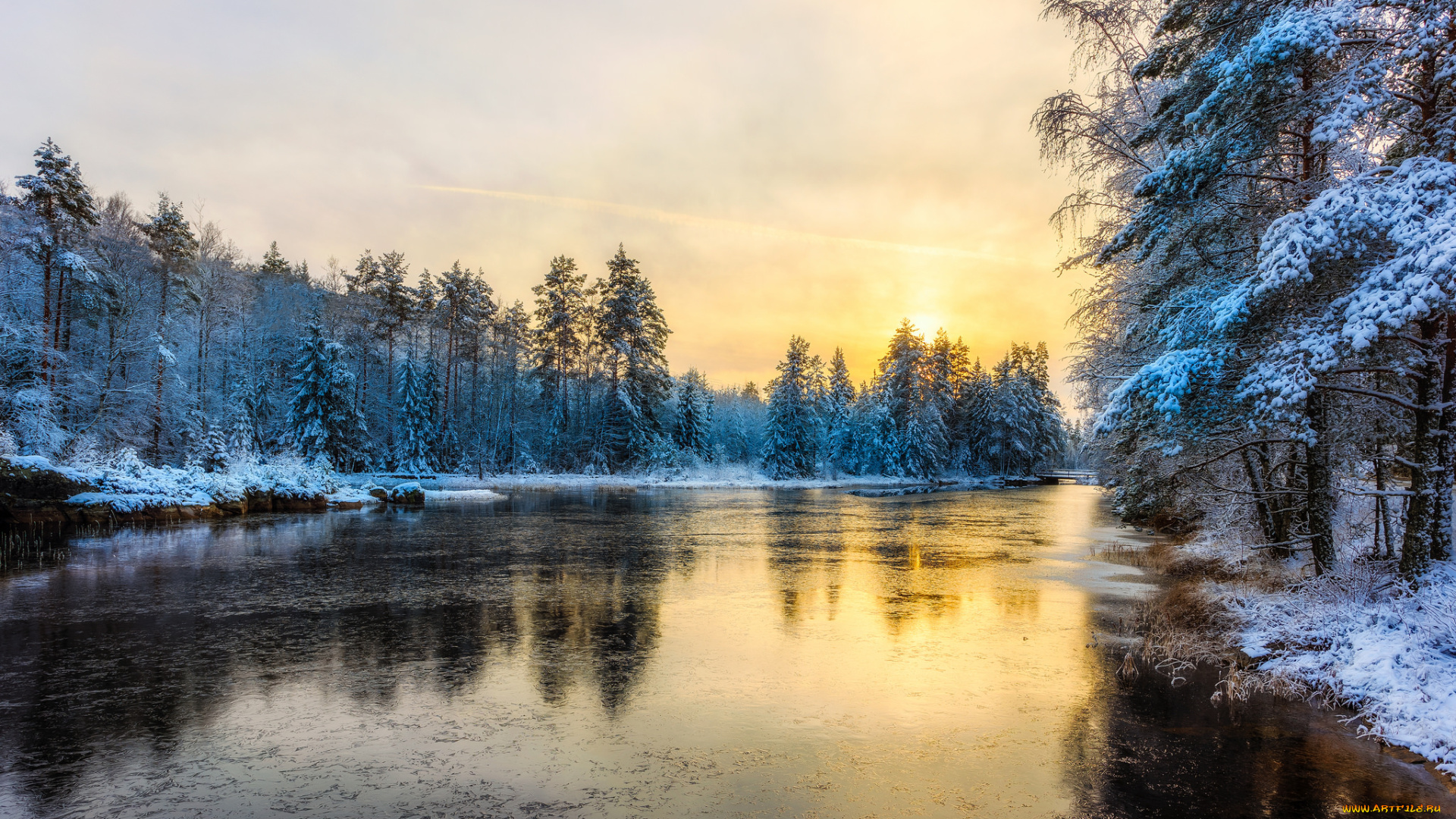 природа, реки, озера, река, лес