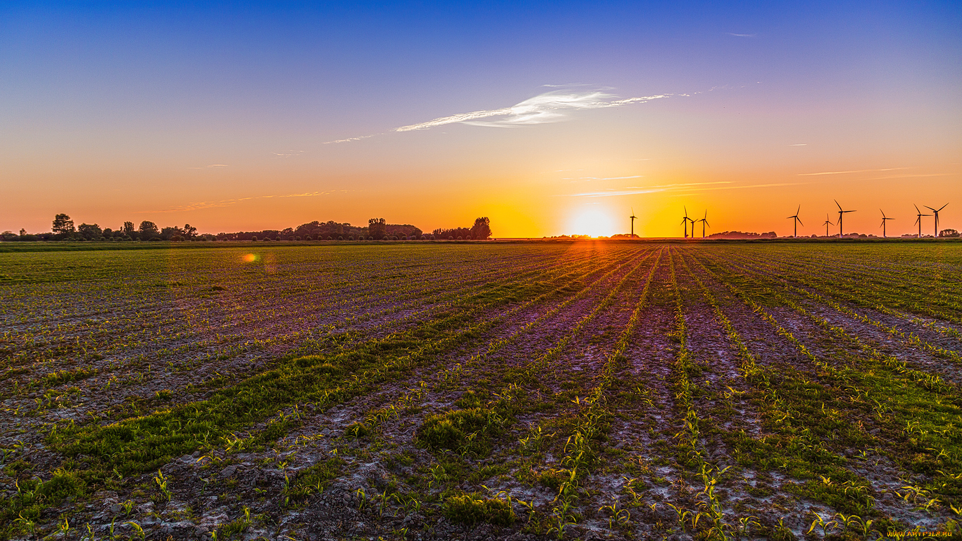 природа, восходы, закаты, рассвет
