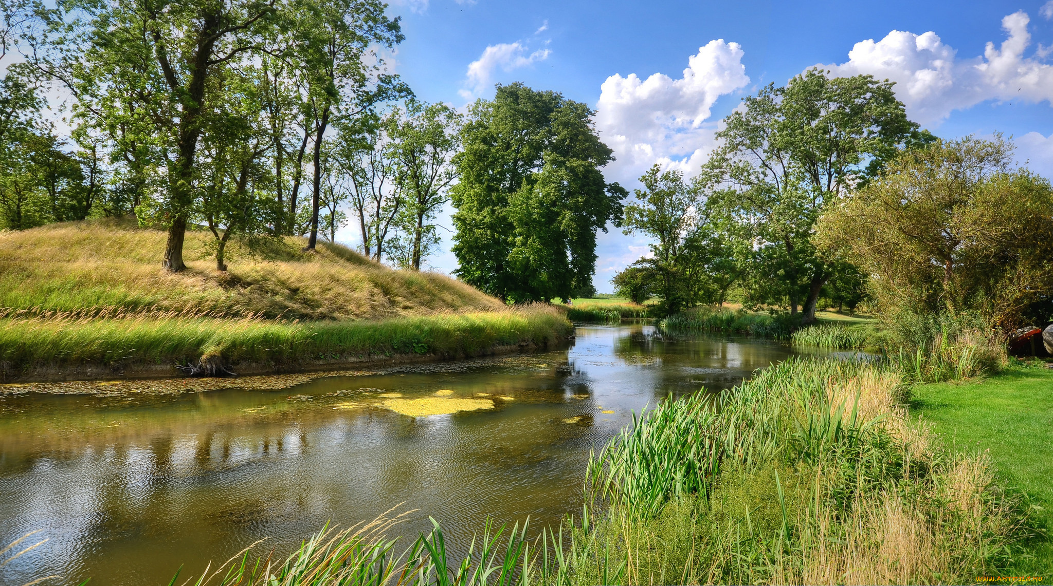 природа, реки, озера, река, лес