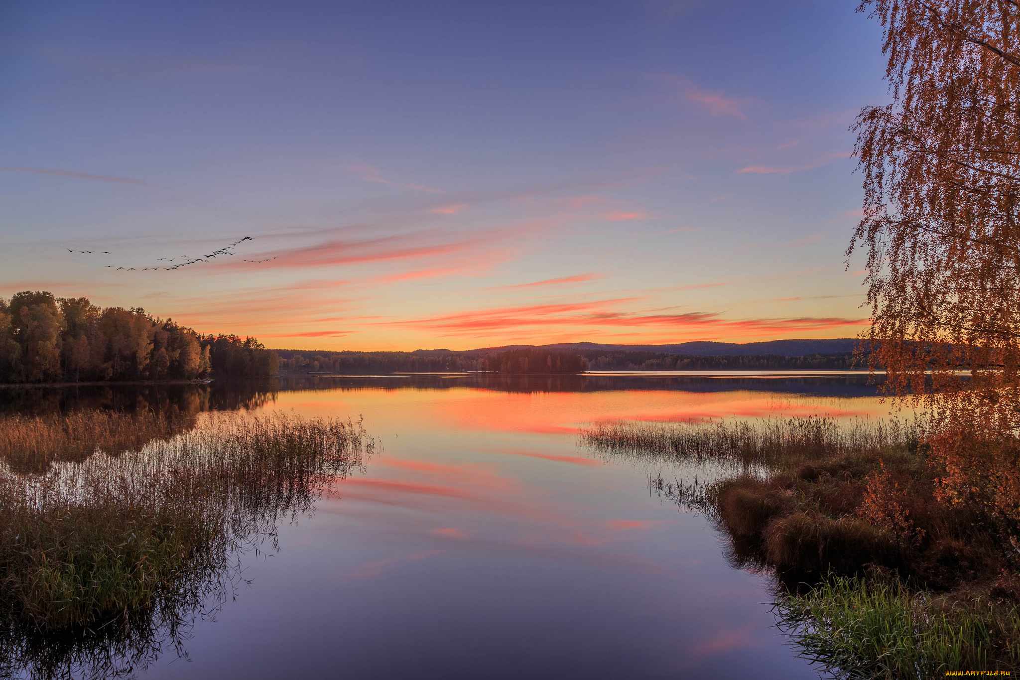 природа, реки, озера, лес, река