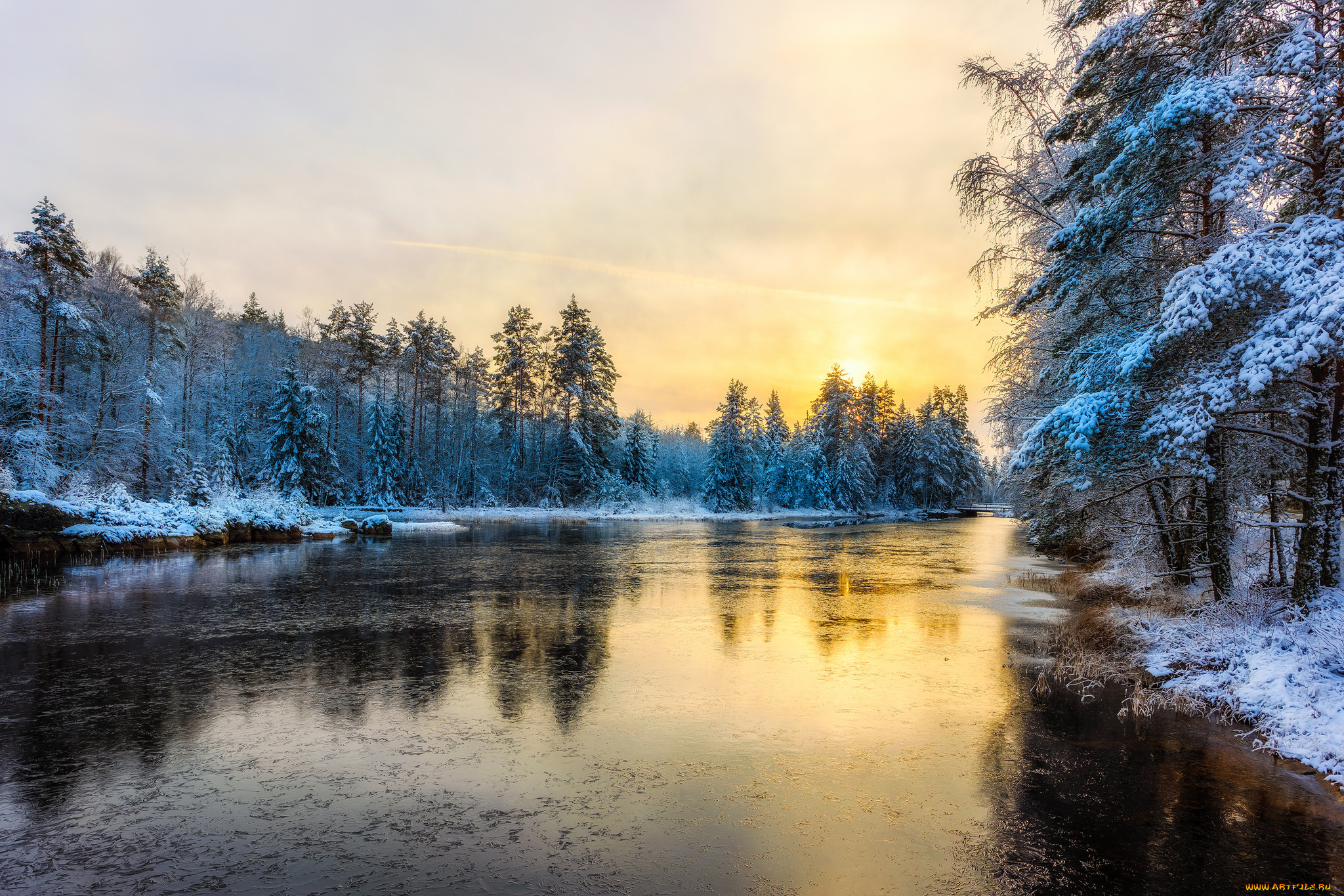 природа, реки, озера, река, лес