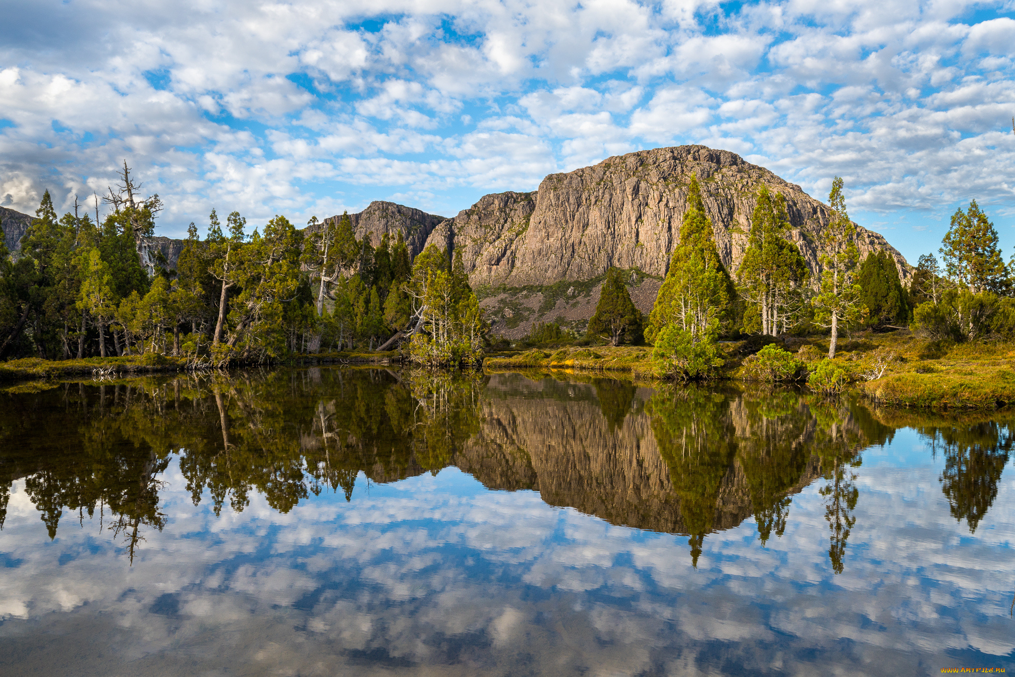 природа, реки, озера, река, лес
