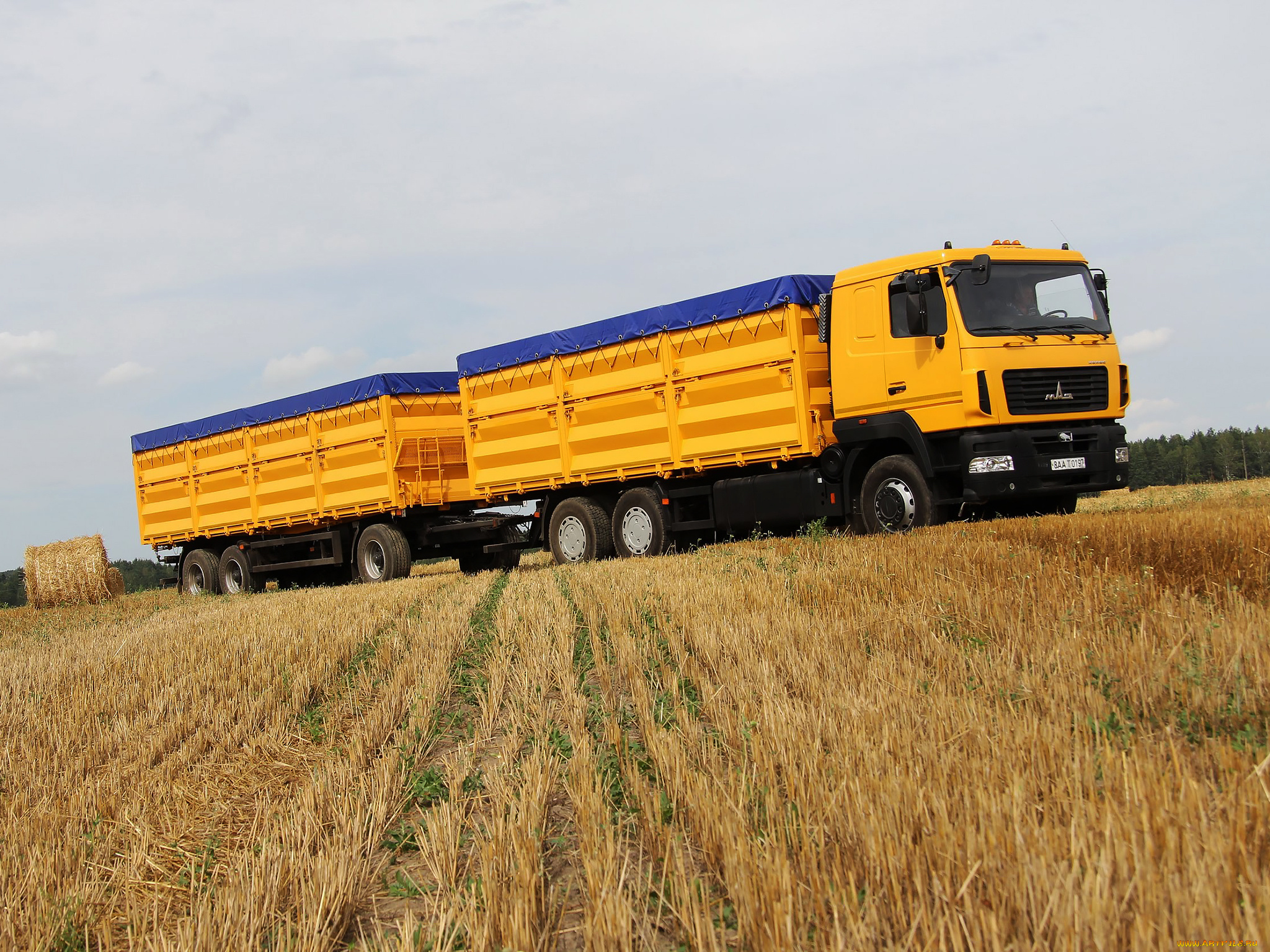 автомобили, маз, маз-6501a8-325-000, колос, 2015г