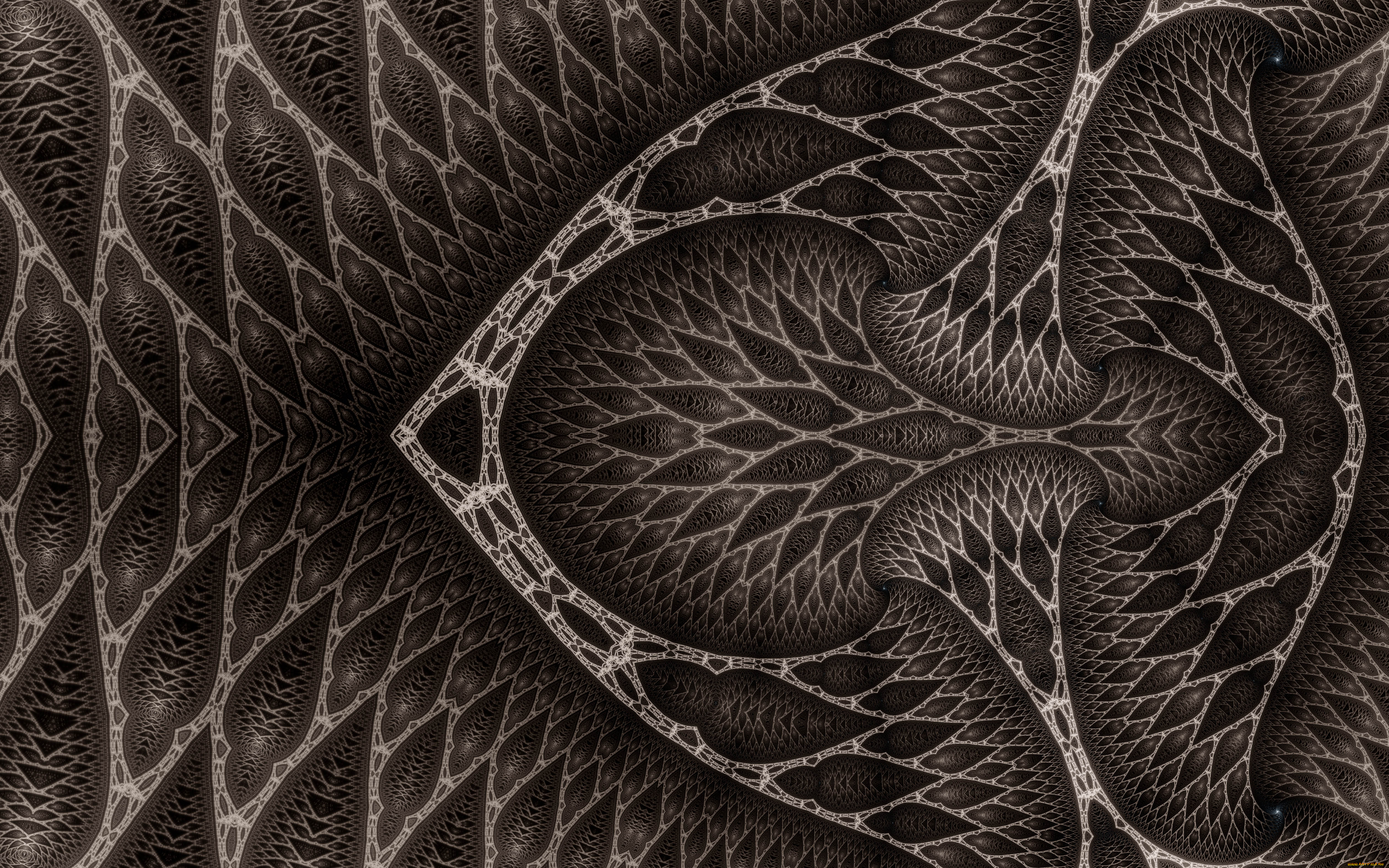 3д, графика, фракталы, , fractal, узор, фон, цвета