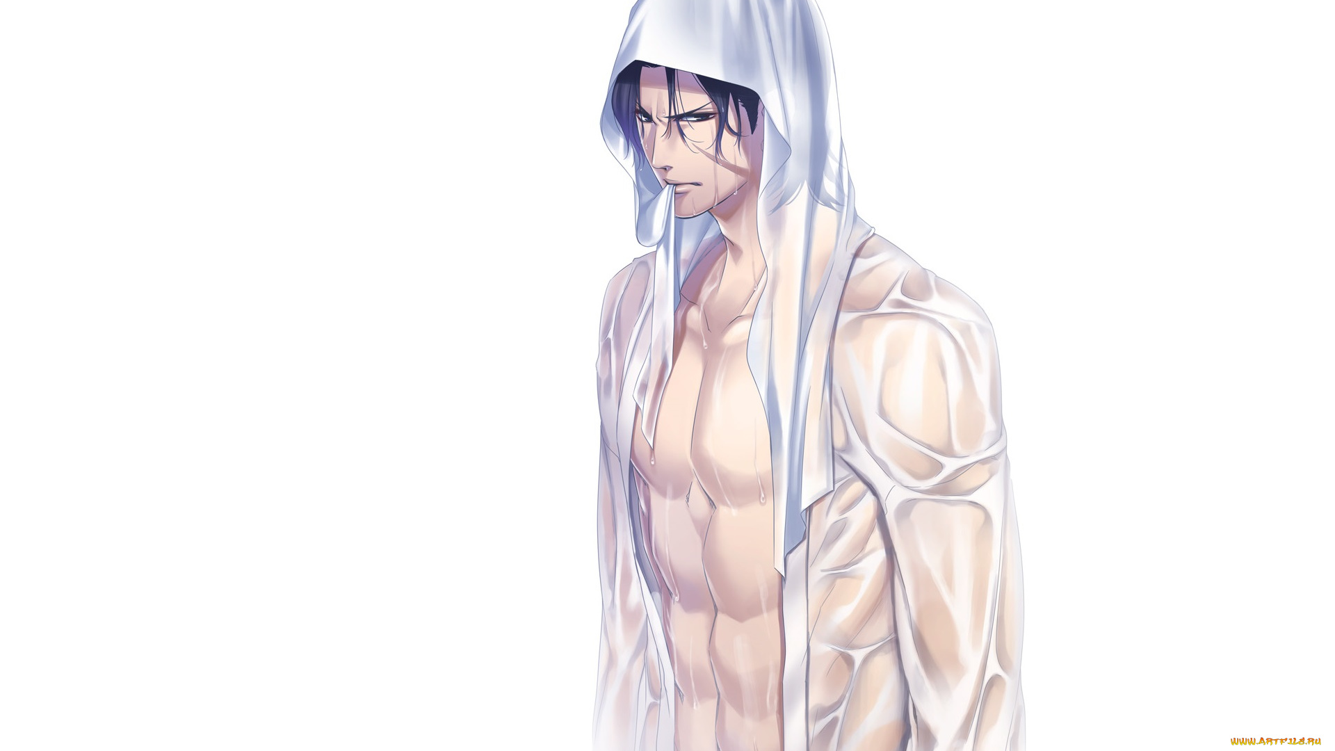 аниме, sengoku, basara, nachicoco